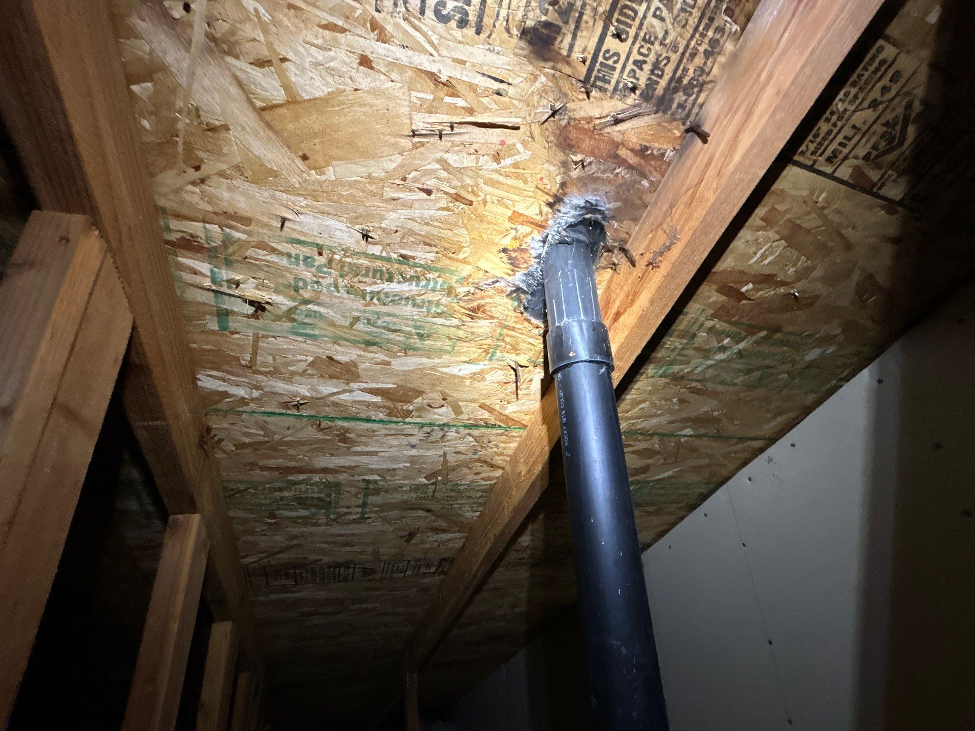 Emergency Leak Repair in Portland by Prodigy Roof Solutions