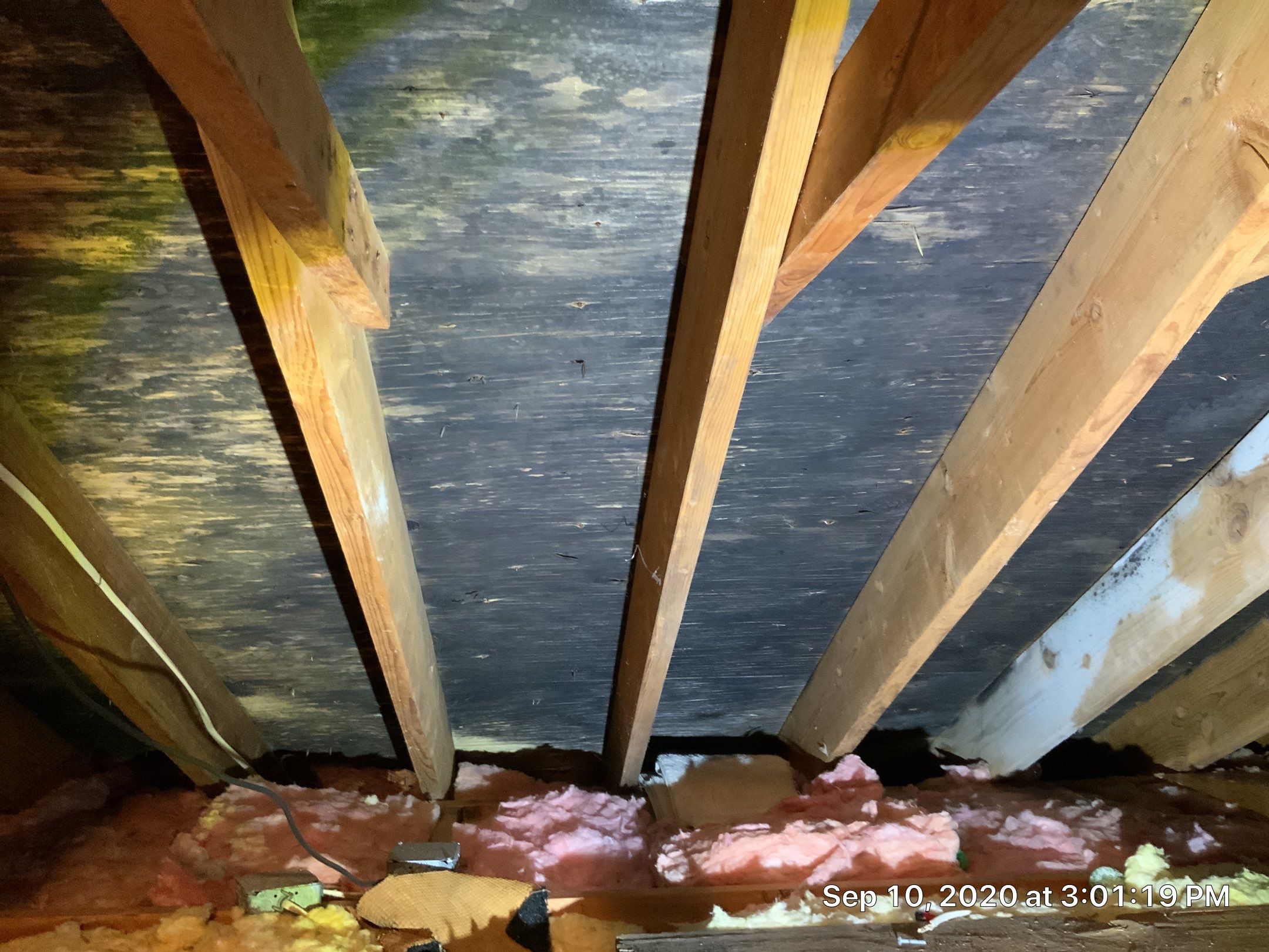 Attic Mold Remediation Job in Vernon Township, NJ by Pure Service Pro, LLC 
