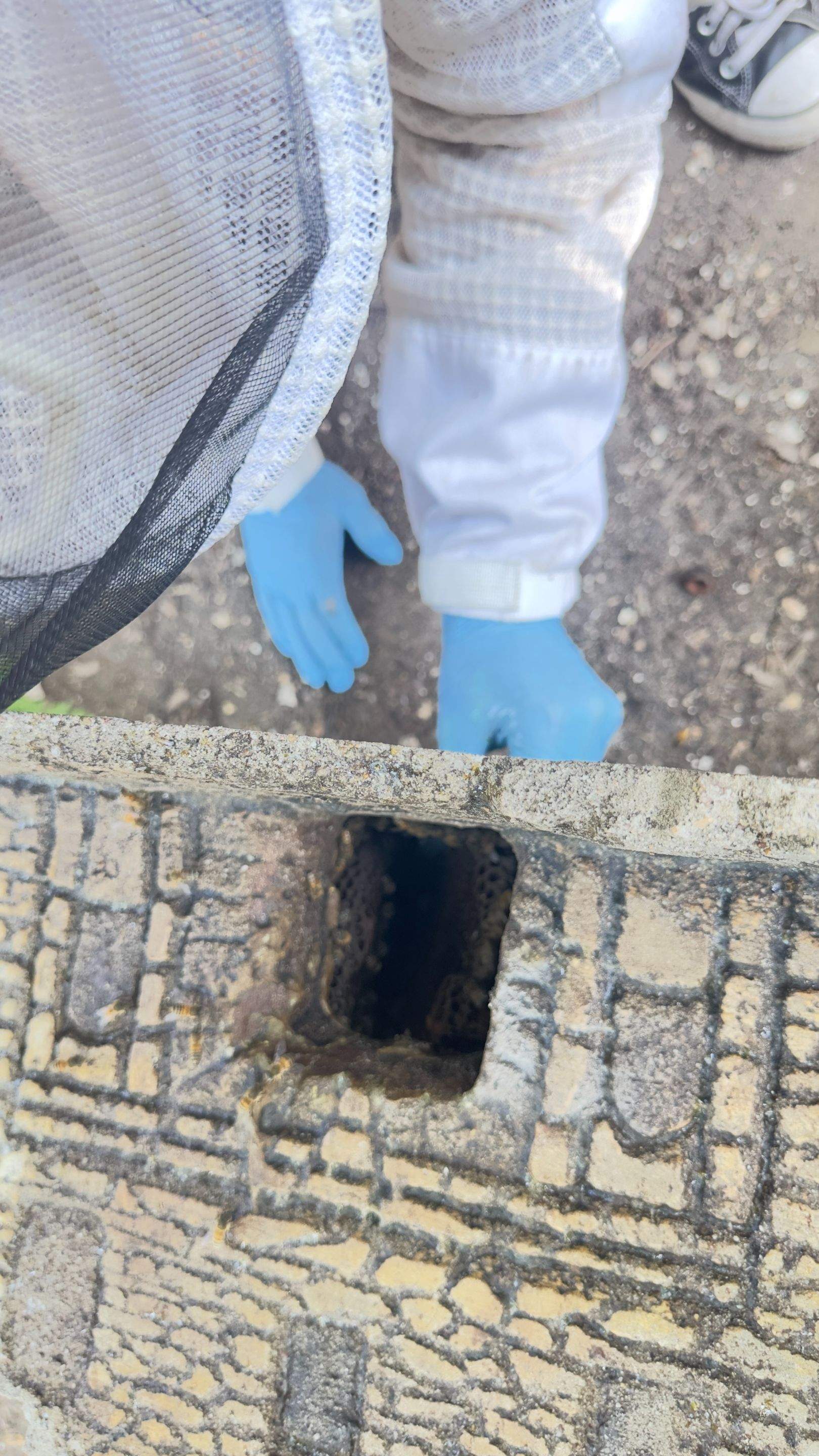 Bird Houses by Rockwall Honey Bee Company