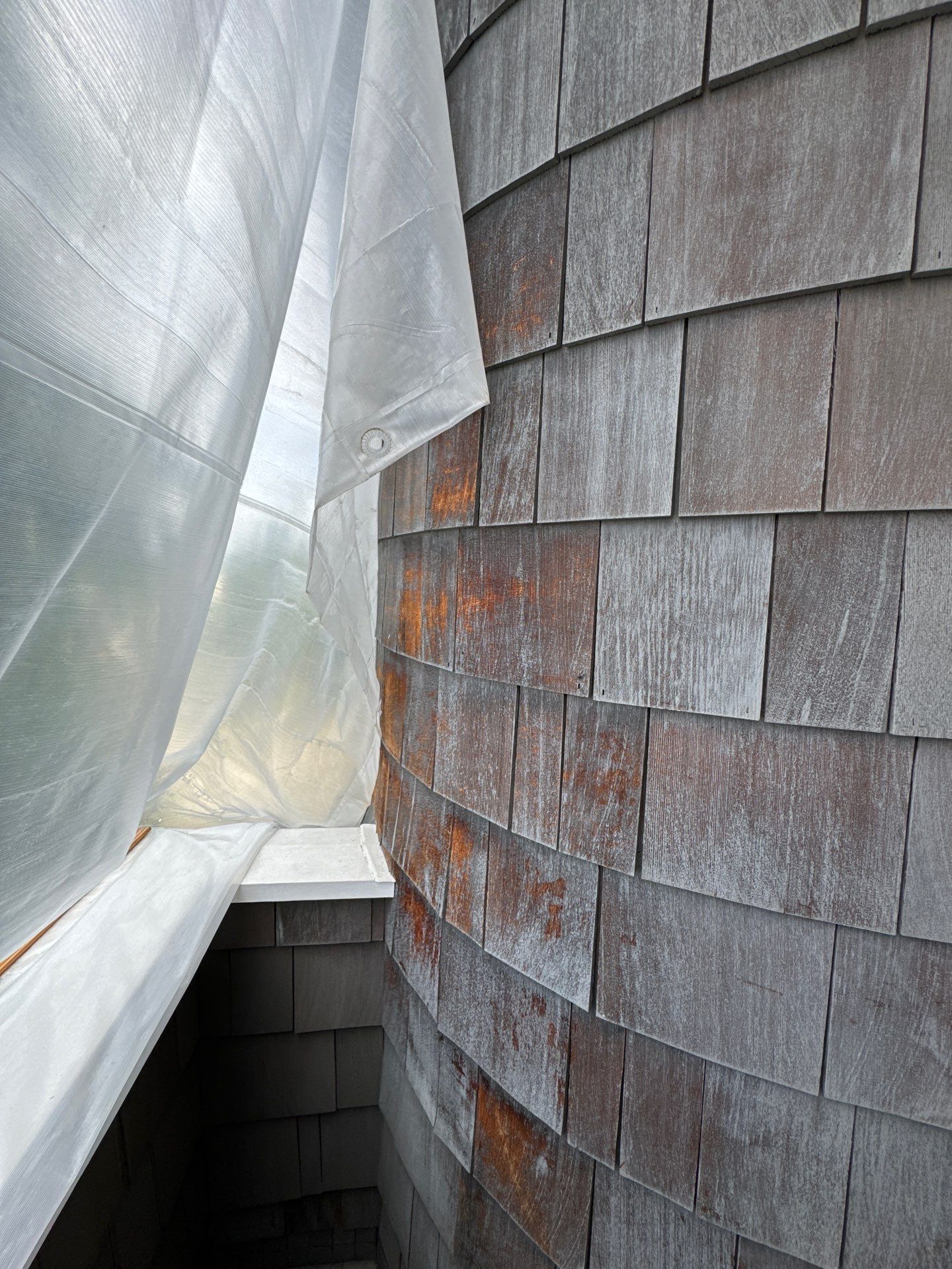 Project in Seattle by Peaks and Valleys Construction