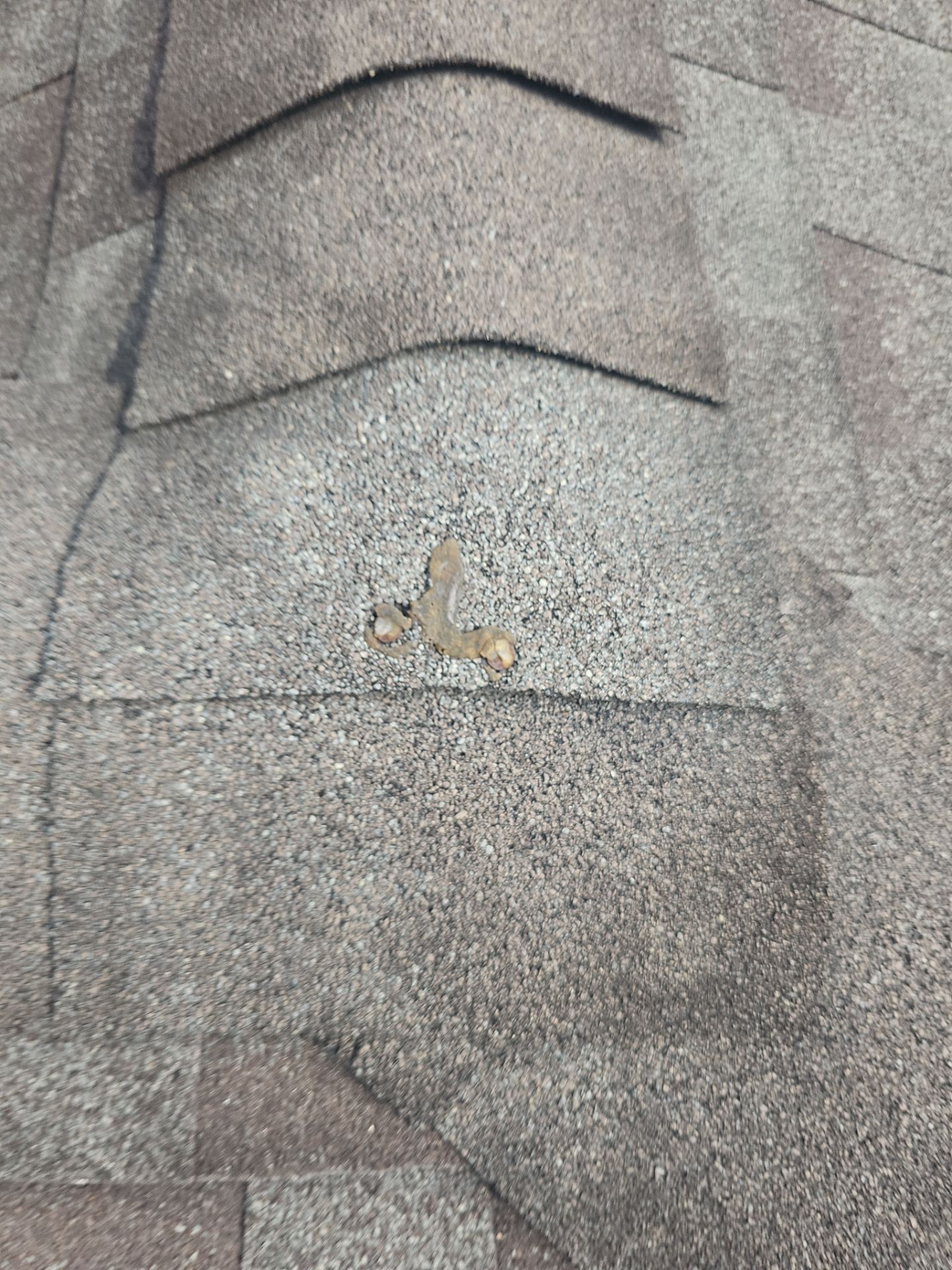 Roof Repair Katy by Roof Repair Company