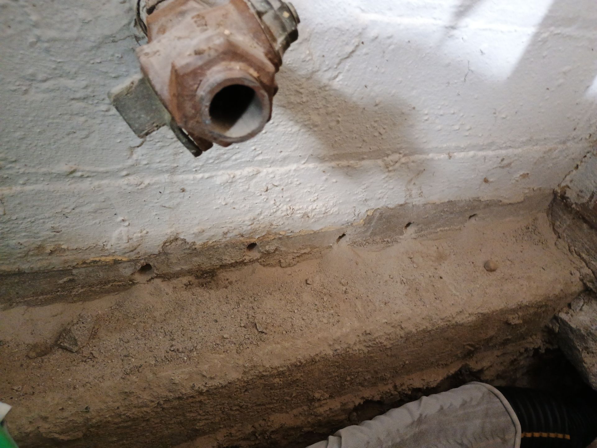 Abigail's New Home by Waterproofing Northeast