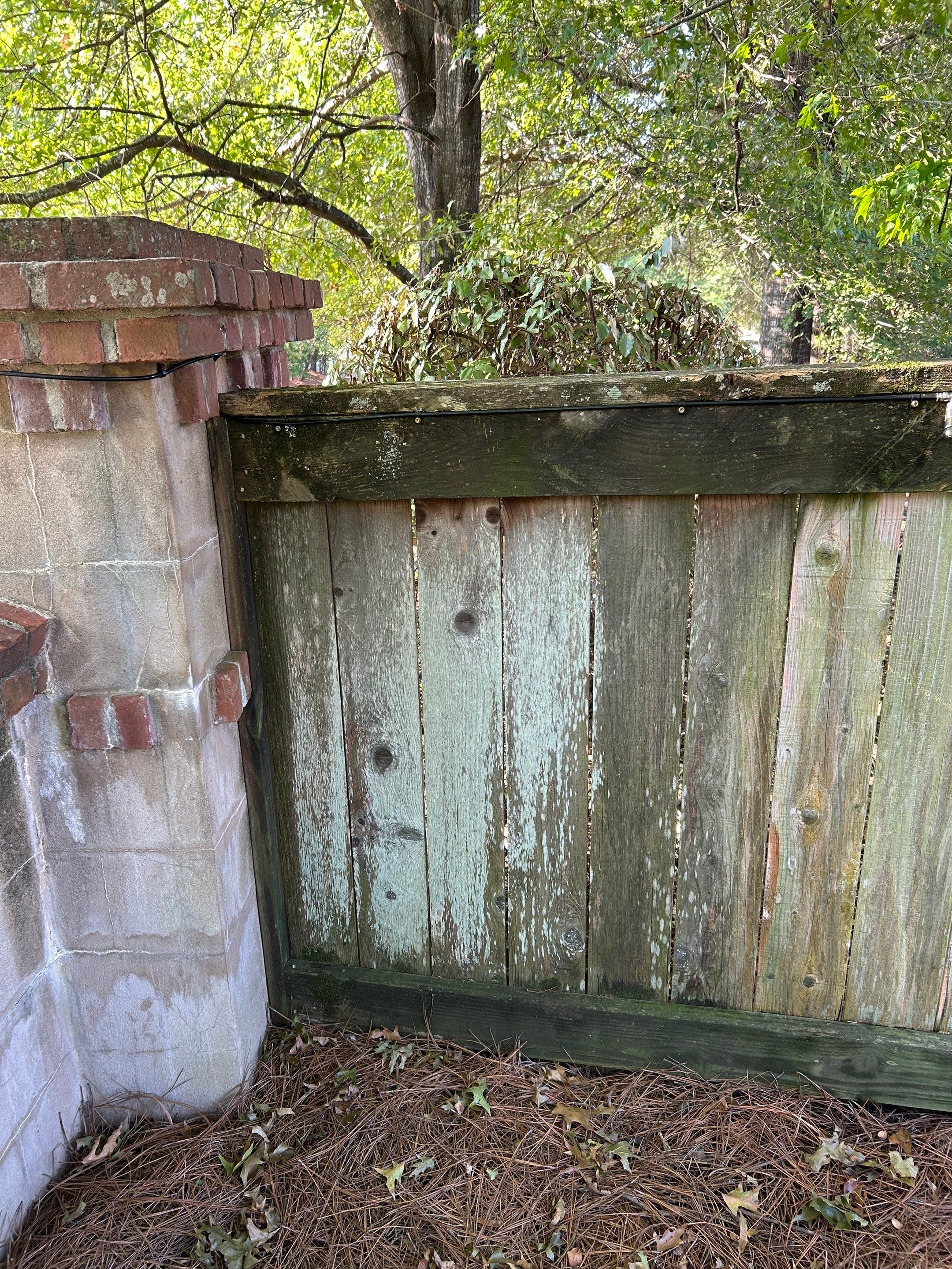 6’ Cedar Good Neighbor 6x6 Posts by Roberson Construction LLC