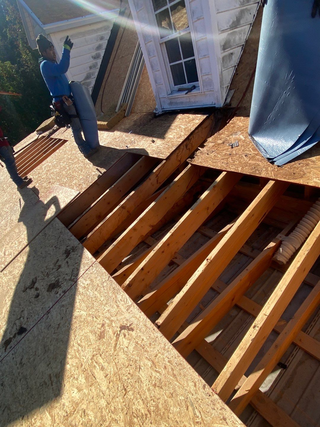 Project in Creedmoor - Certainteed Landmark Silver Birch by Pro Performance Roofing