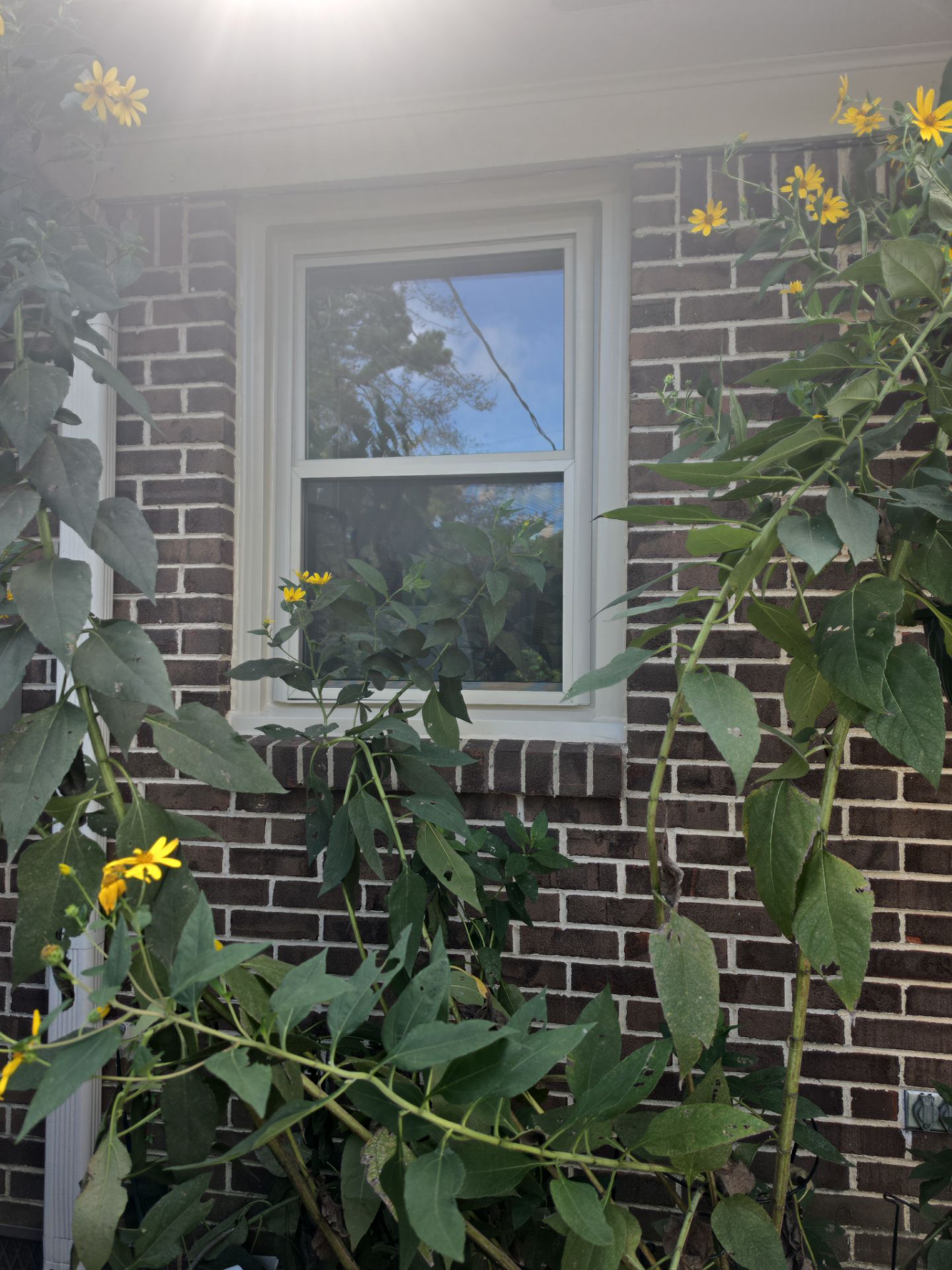 Searcy Project in Hoover by The Window Source
