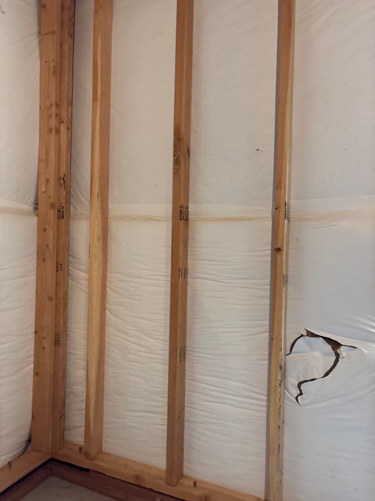 Basement Window Installation and Wall Framing in Wellington by CompanyCam Sales Demo