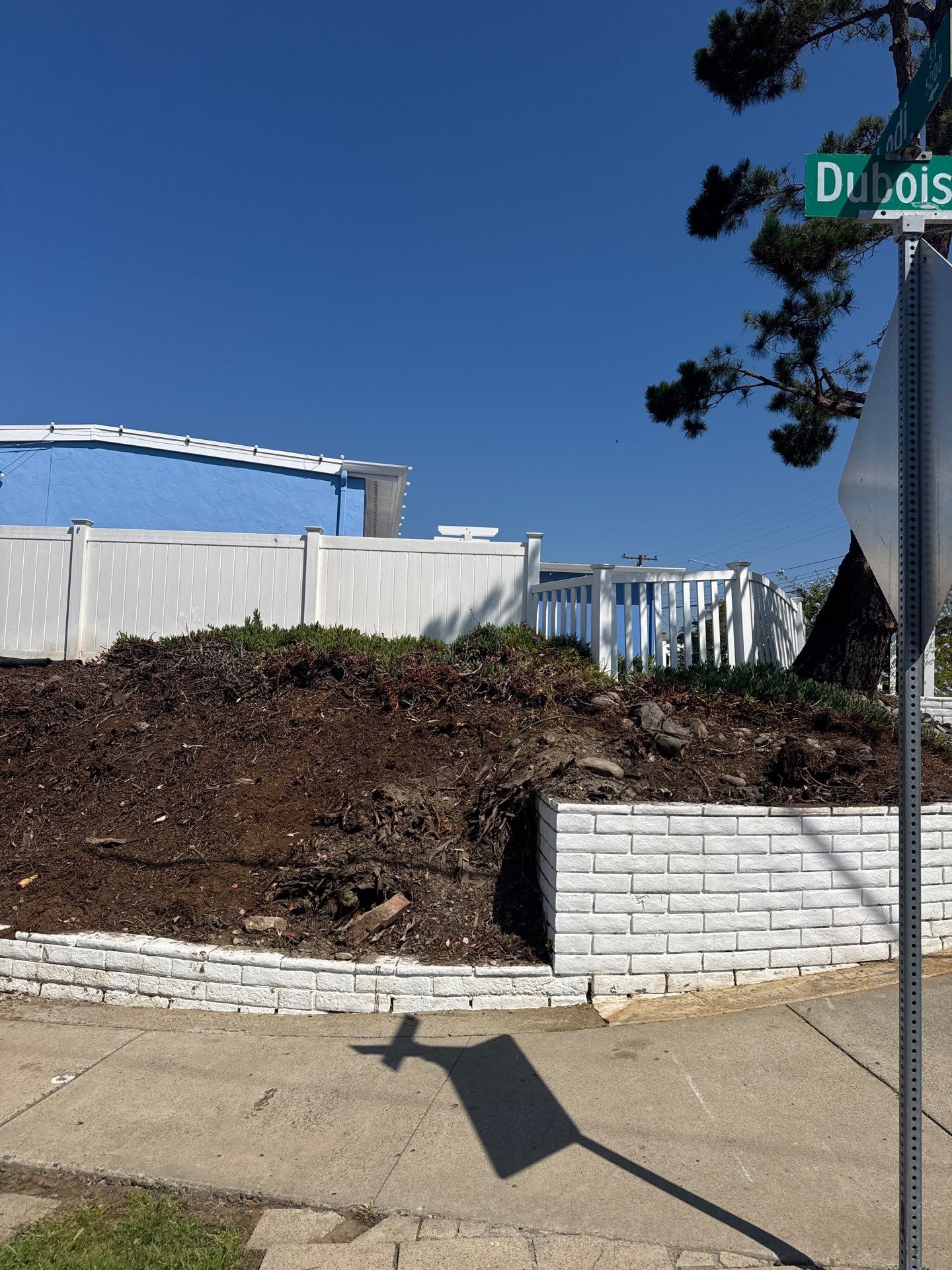 Professional Landscape Clean Up and Debris Removal in San Diego by Yard Techs