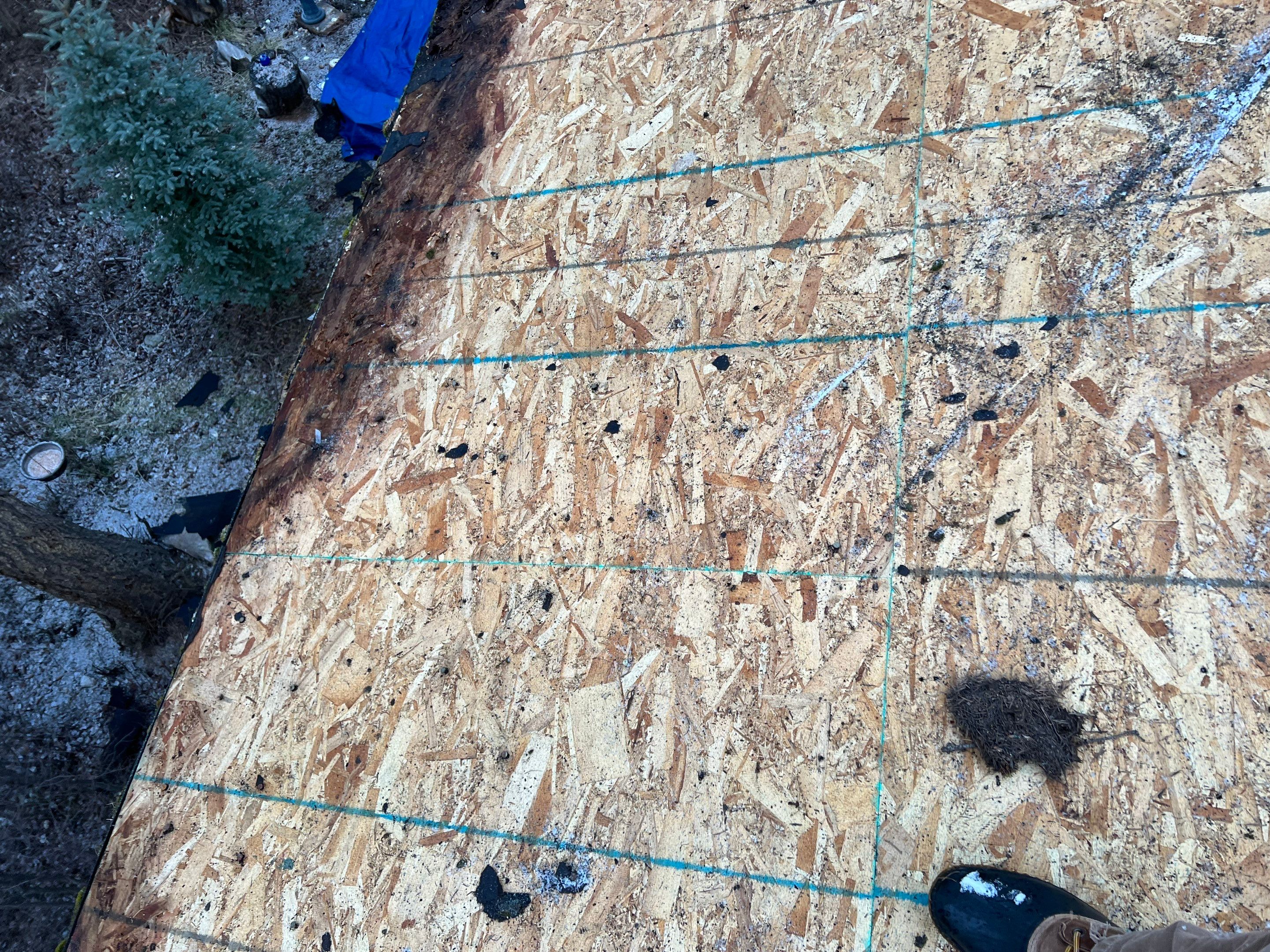 GAF Timberline HDZ - Hunter Green by Montana Roofing Solutions