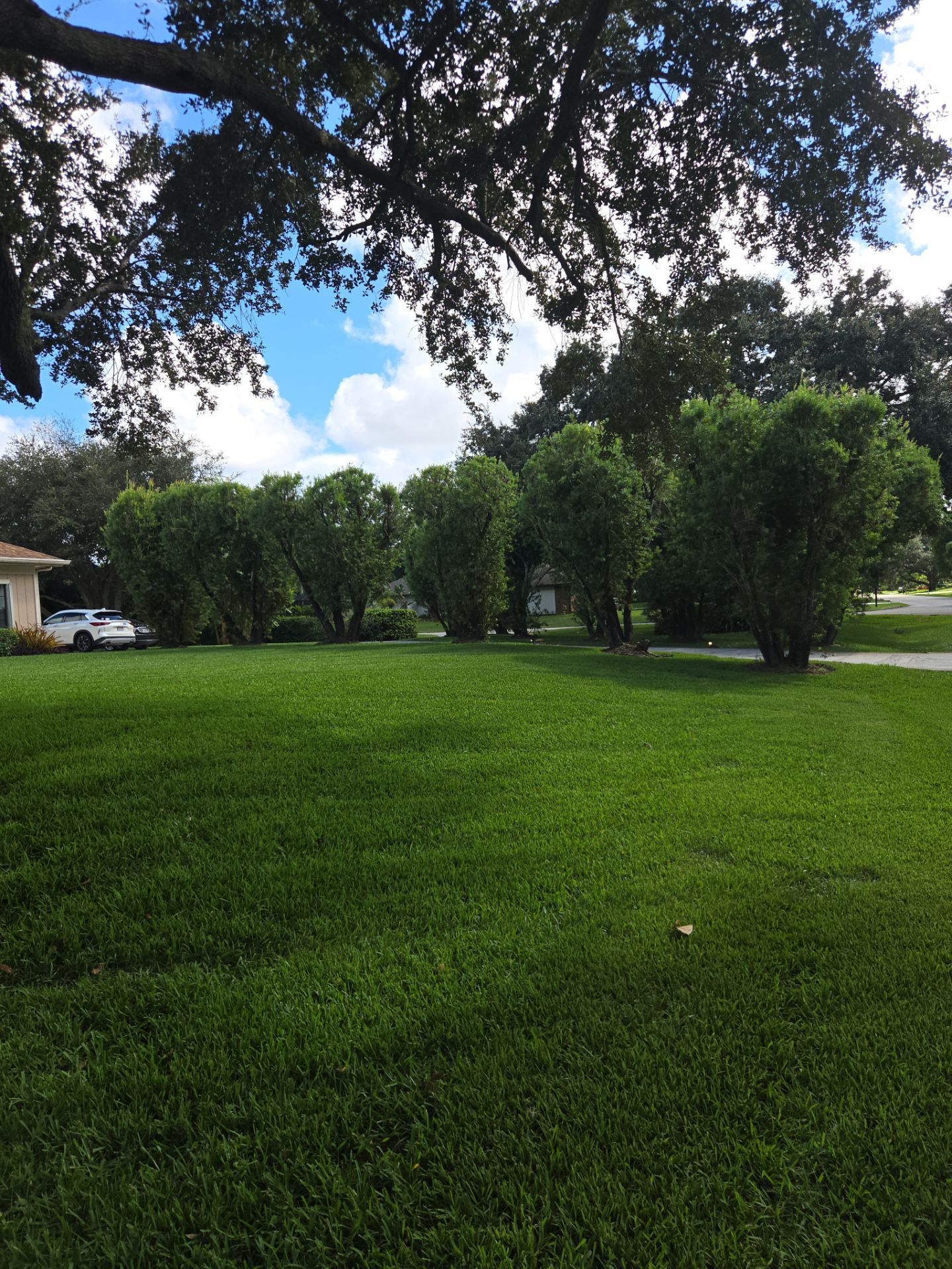 🌴✨ “Crane Creek Snip, Tip & Tune-Up” ✨🌴 by Alpha Zeta Enterprises Inc