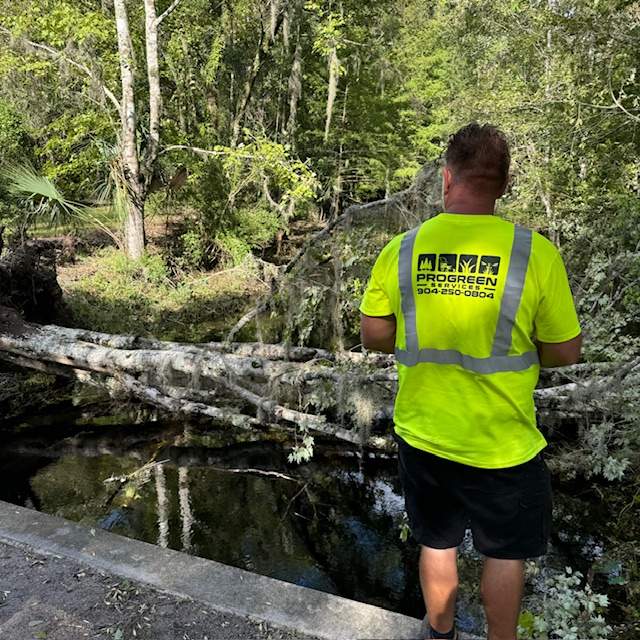 Deerwood Community | Contract Tree Work by ProGreen Services