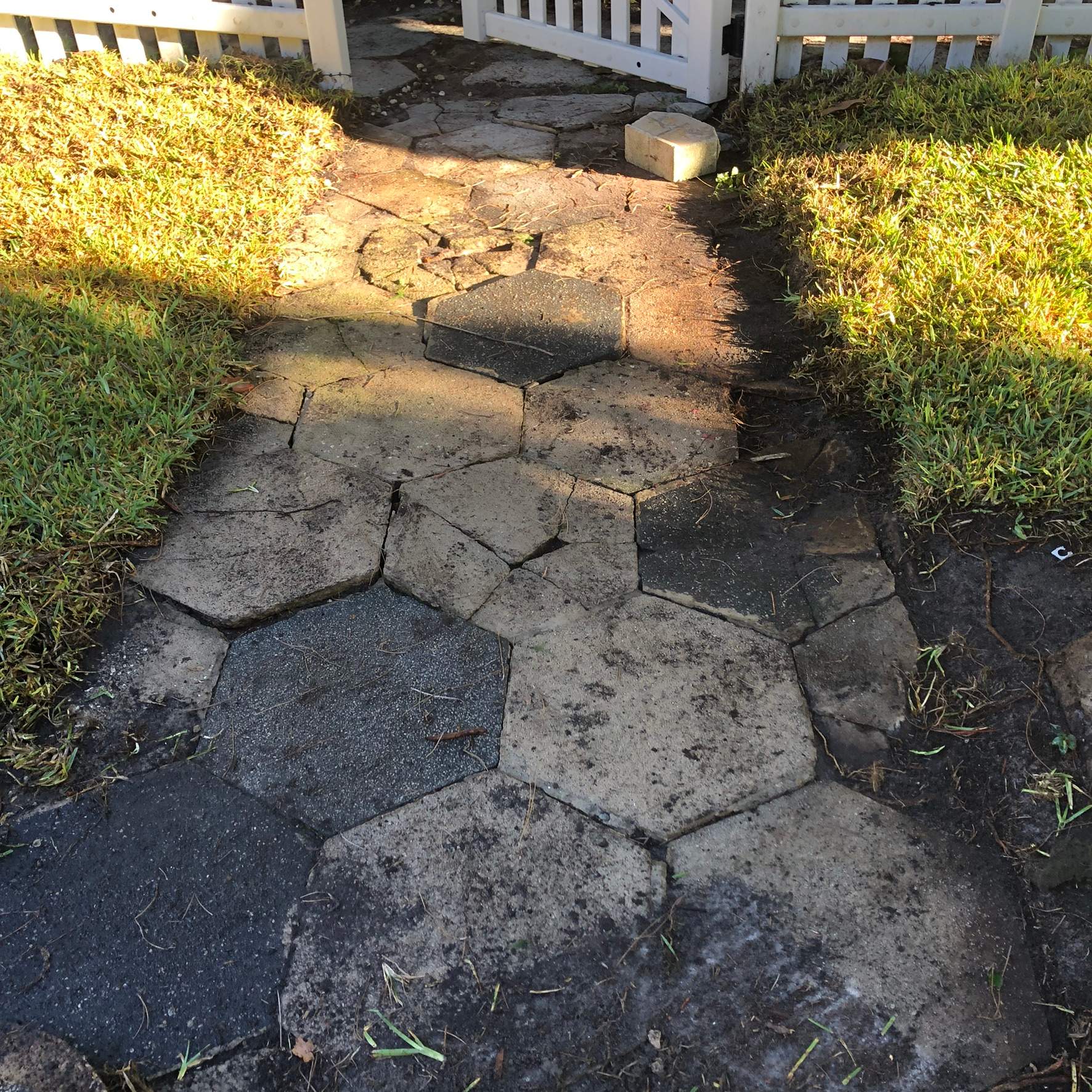 Extreme Clean Up - Landscape Install | Residential by ProGreen Services