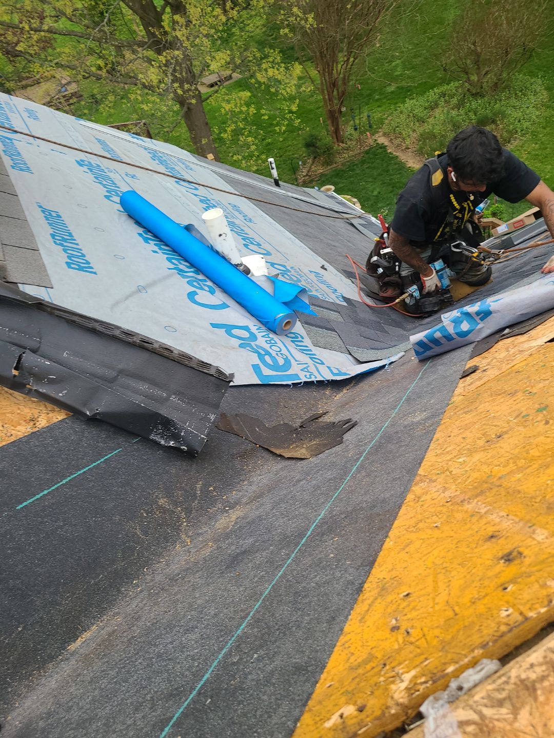 Vienna: CertainTeed Landmark Pro Designer Shingles in Max Def Moire Black by RM Banning, Inc.