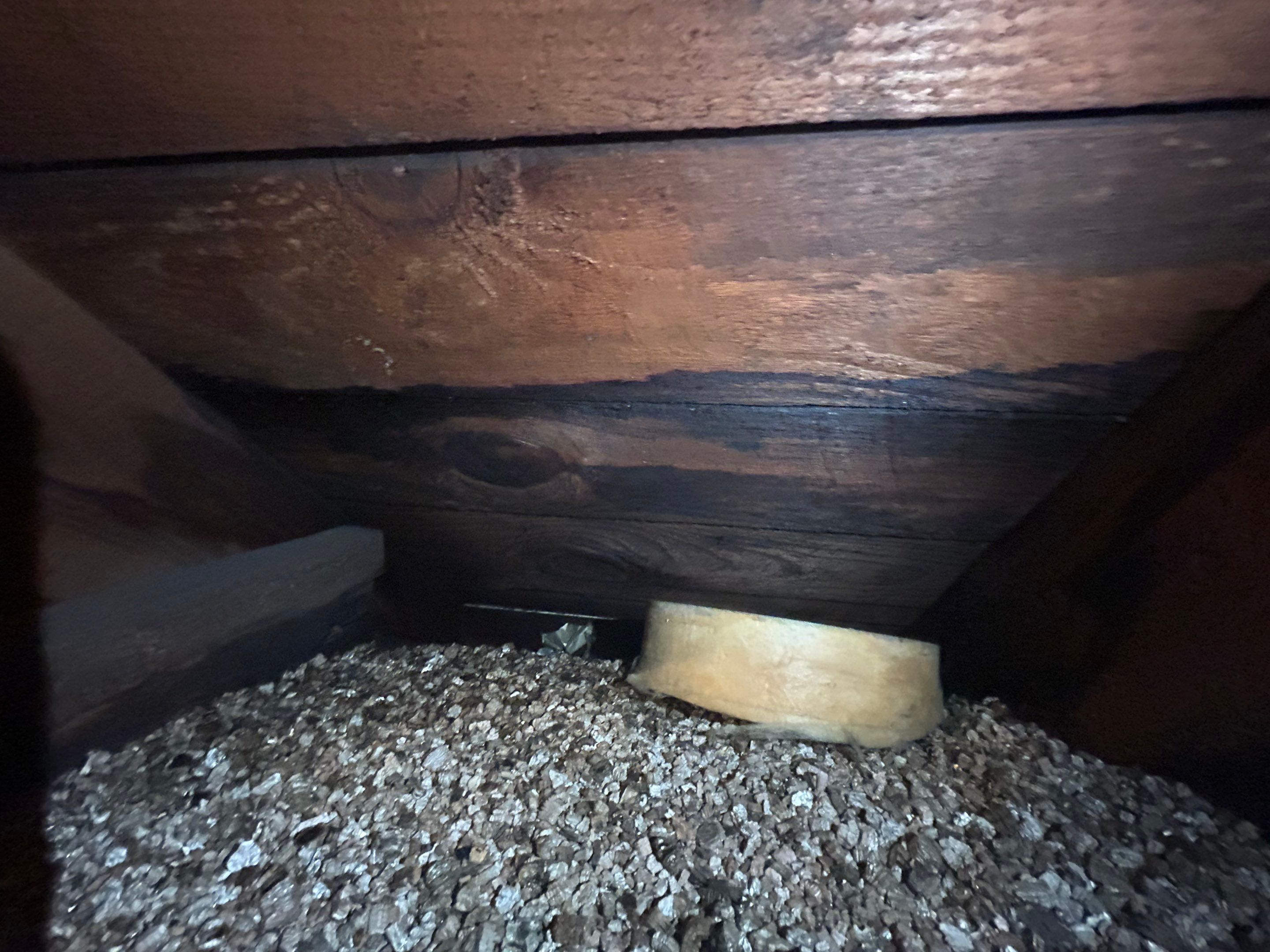 Alexandra: Residential Metal Roofing  by RM Banning, Inc.