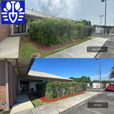 COMMERCIAL: BED CLEAN / MULCH INSTALL 