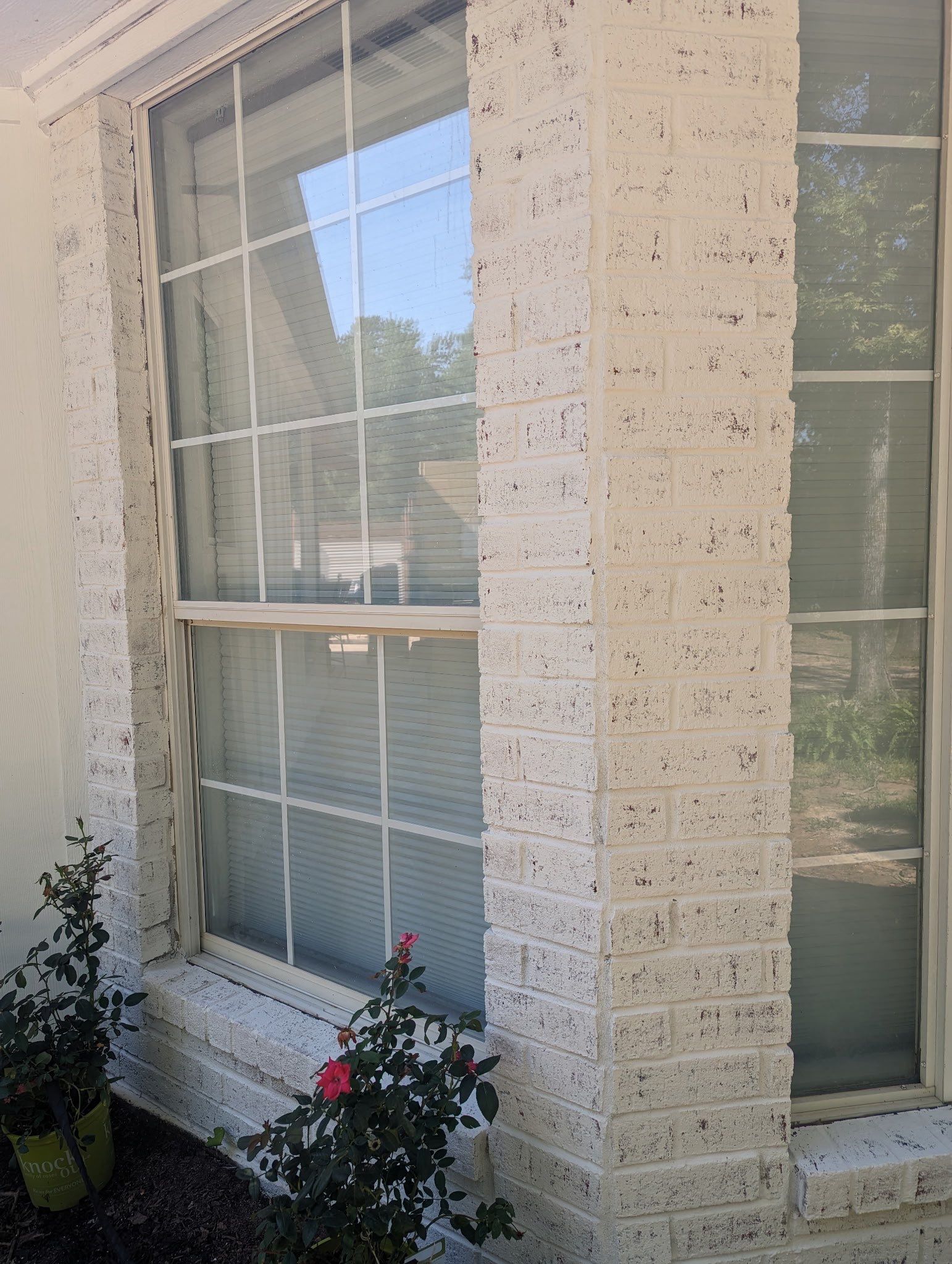 Romabio Limewash Project β Chandler, Tx by Quality Coats Painting