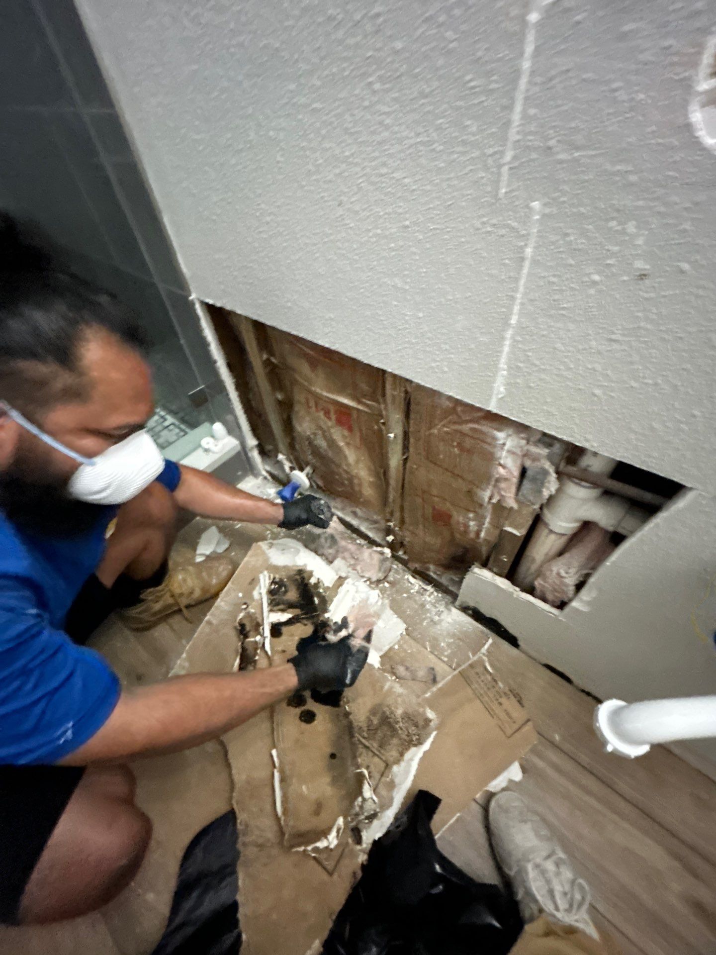 Water Damage Restoration by Ampm Restoration Services