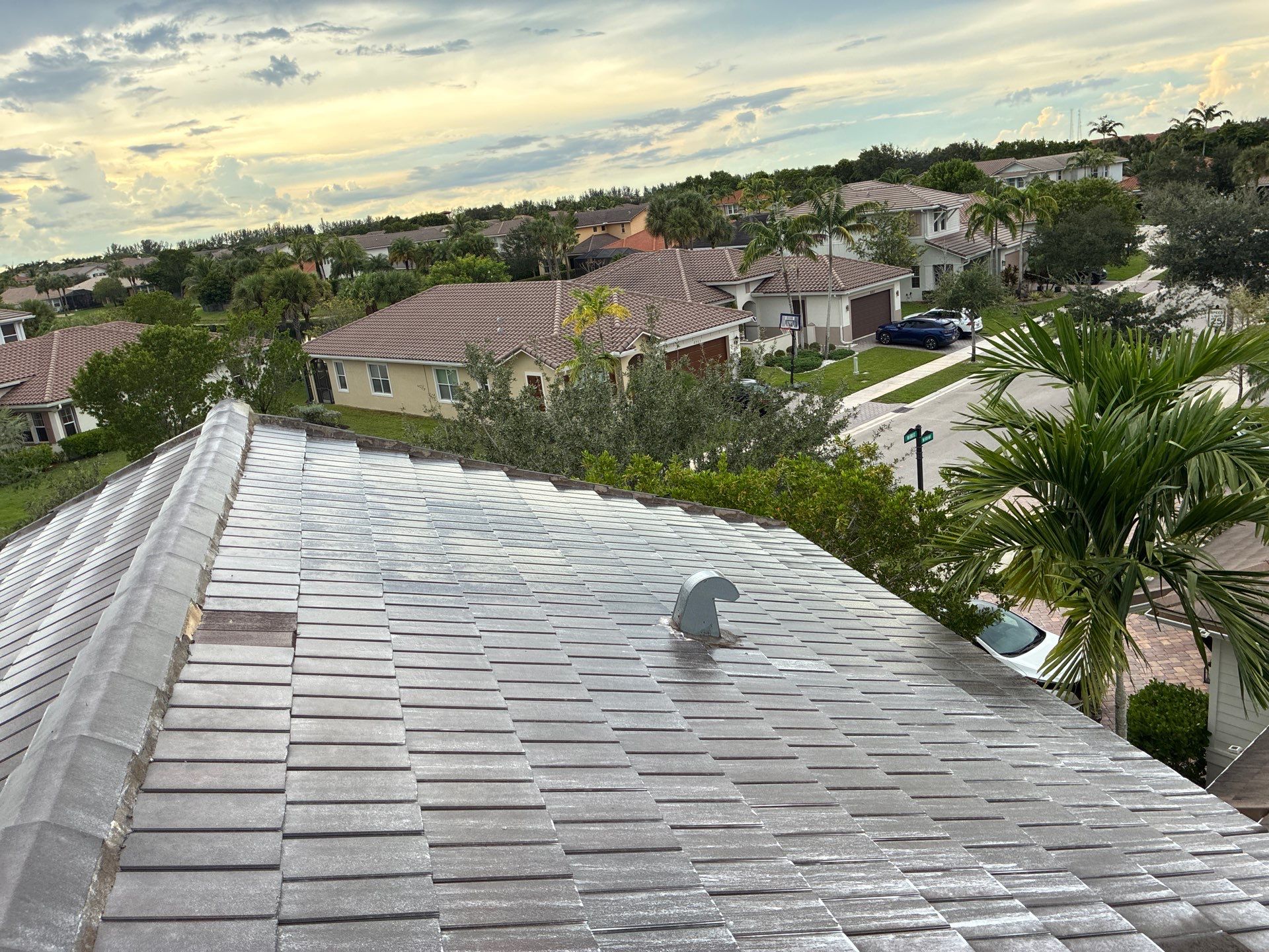 Heron Bay Parkland Painting by BKB Pressure Cleaning LLC