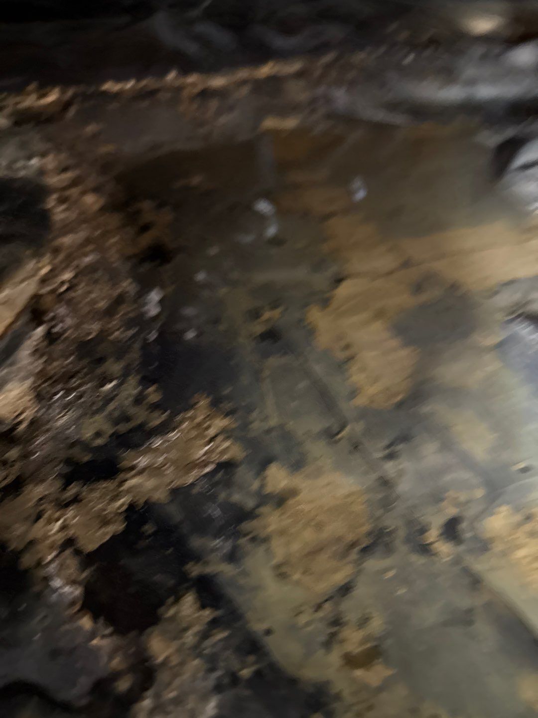 Bathroom and Crawlspace Water Damage and Mold by Healthy Home Solutions