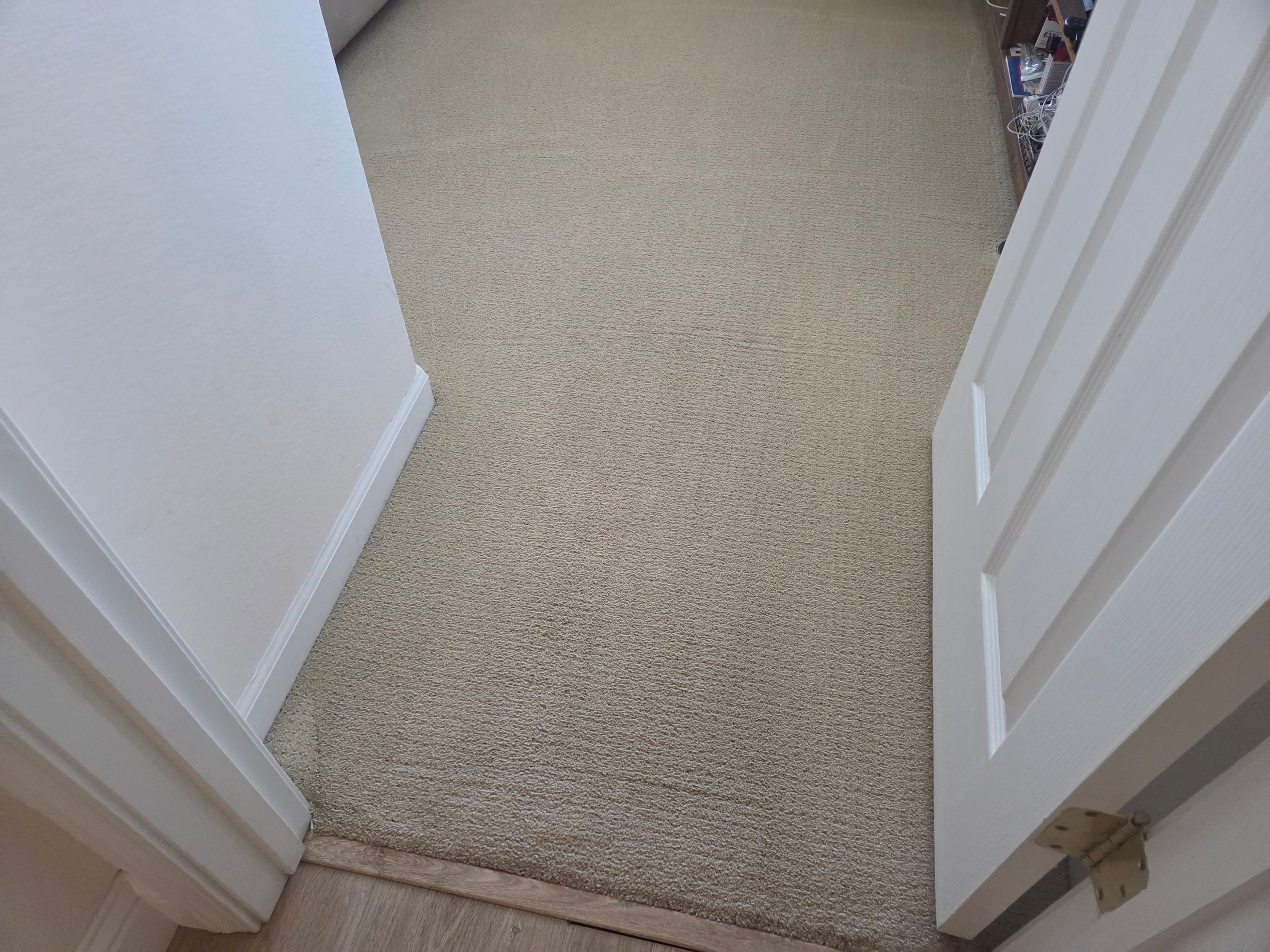 Professional Carpet Cleaning in Sacramento by Ardent Carpet Restore LLC