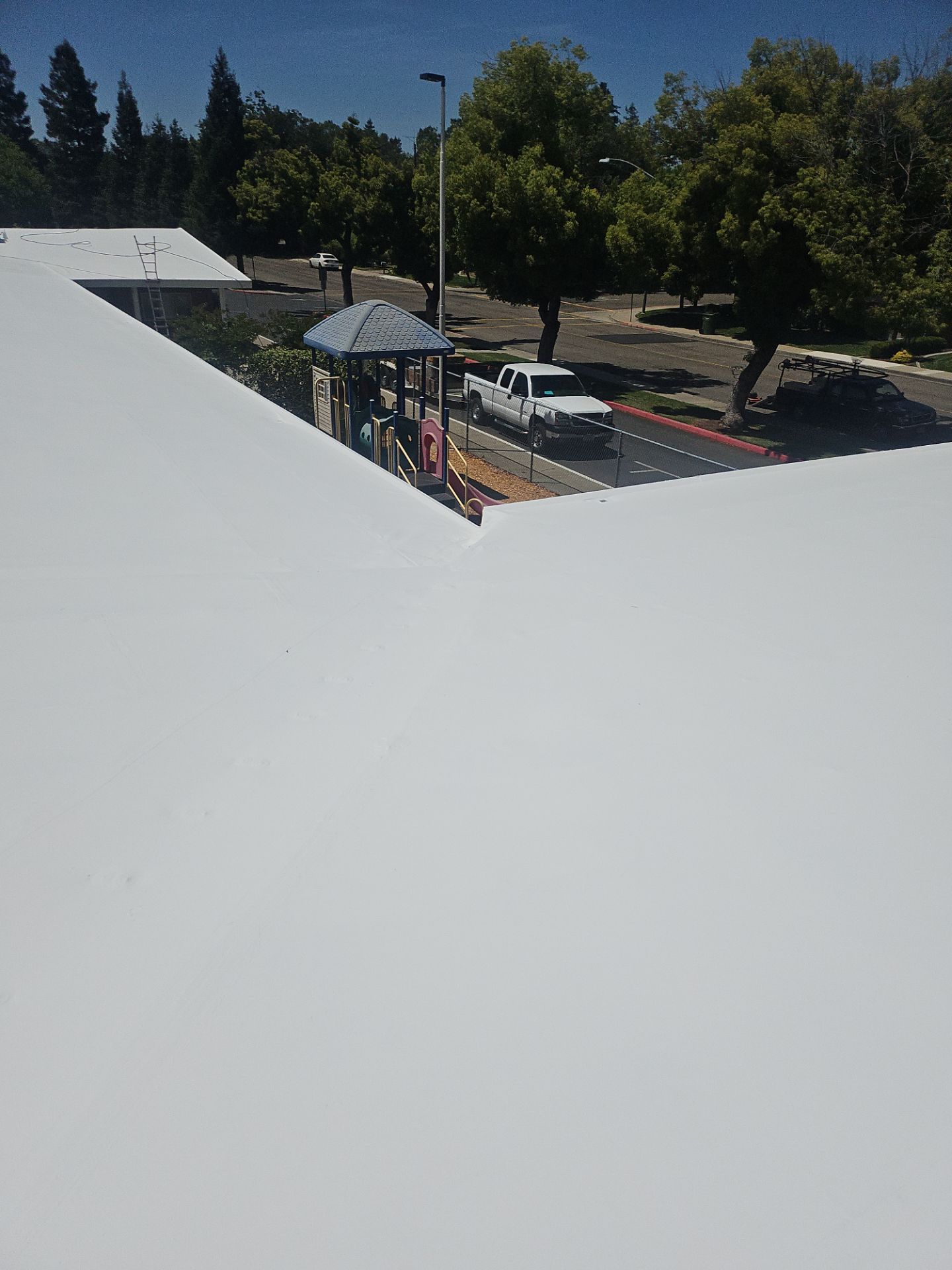 Single-ply restoration system using Benchmark/PUMA XL coatings over TPO single-ply roofing by Straight Edge Roofing Inc