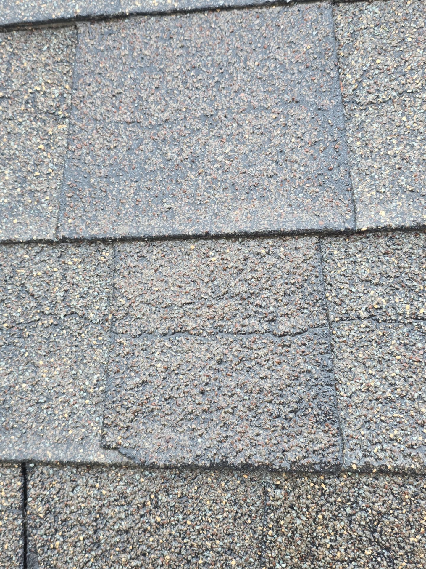 Roof Rejuvenation using Roof Maxx Treatment by Roof Maxx of Folsom