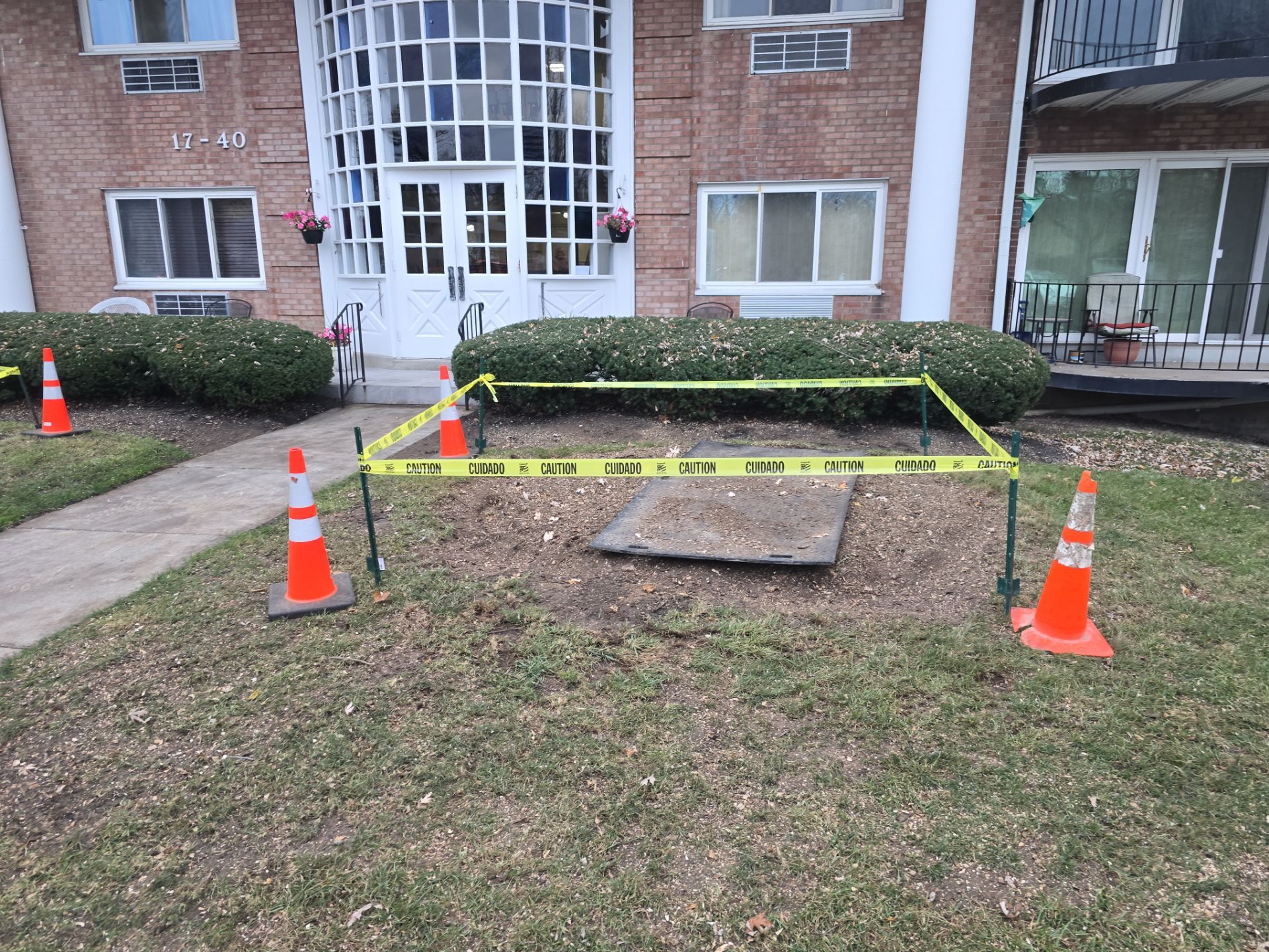 Emergency Job: Removal of Branch by Treeman Tom LLC