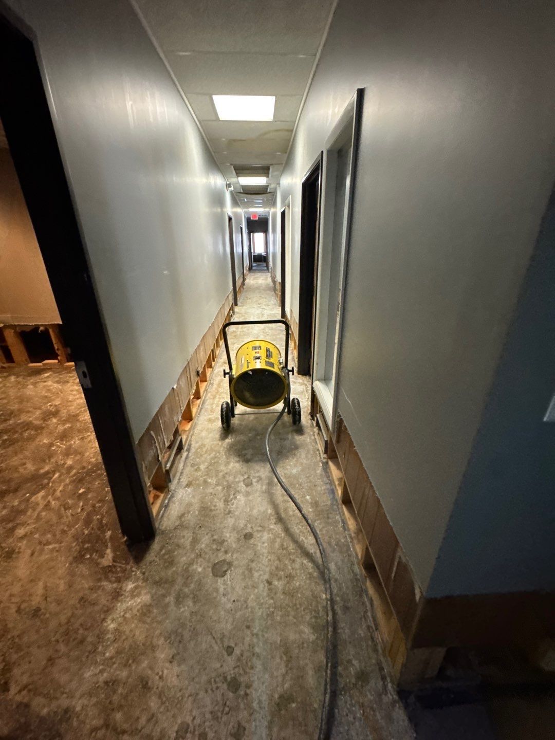 Project in Royal Oak by EzDry Water Mitigation & Property Restoration