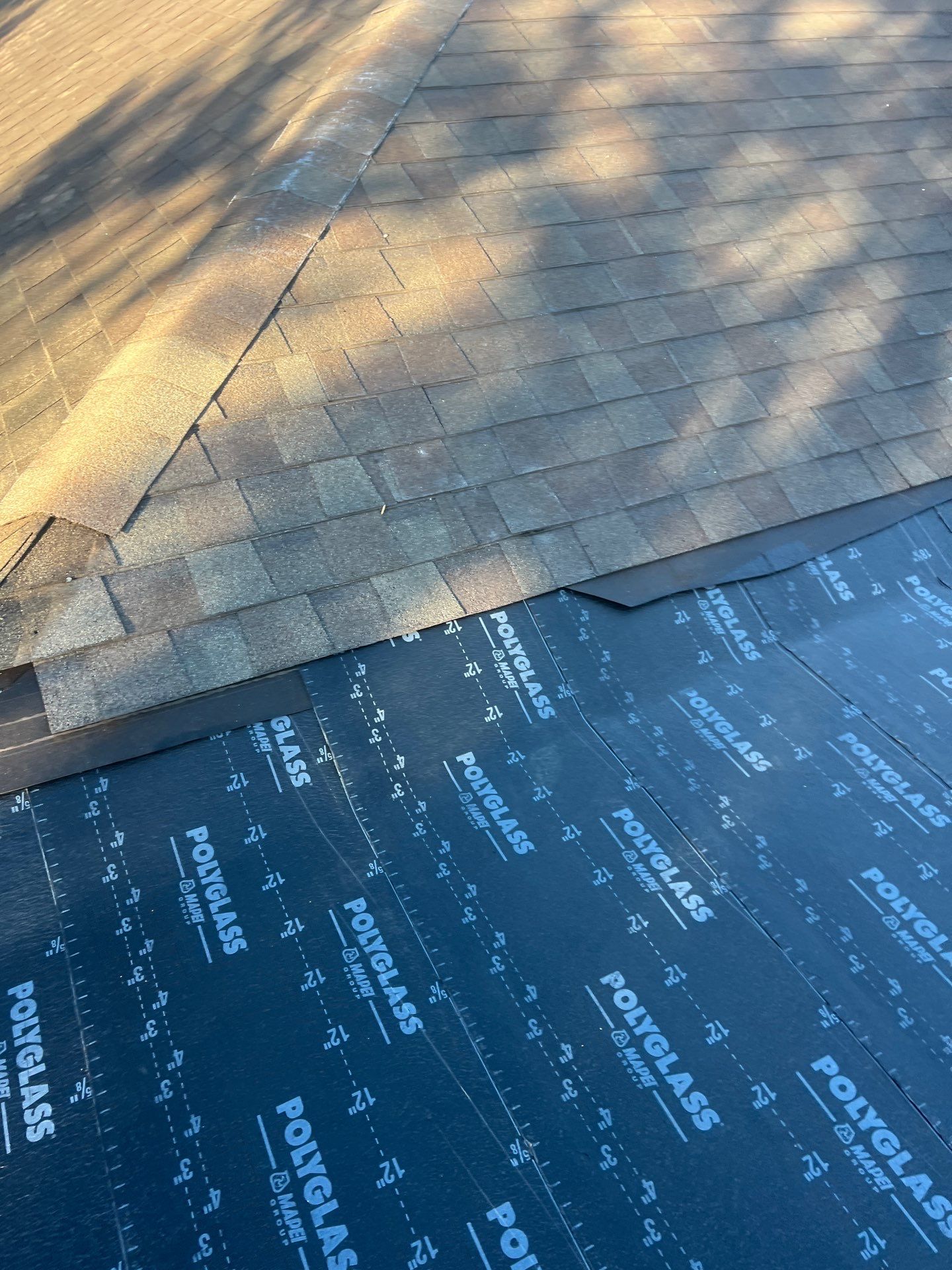 It Ain't Easy getting Shady  by Bayfront Roofing and Construction
