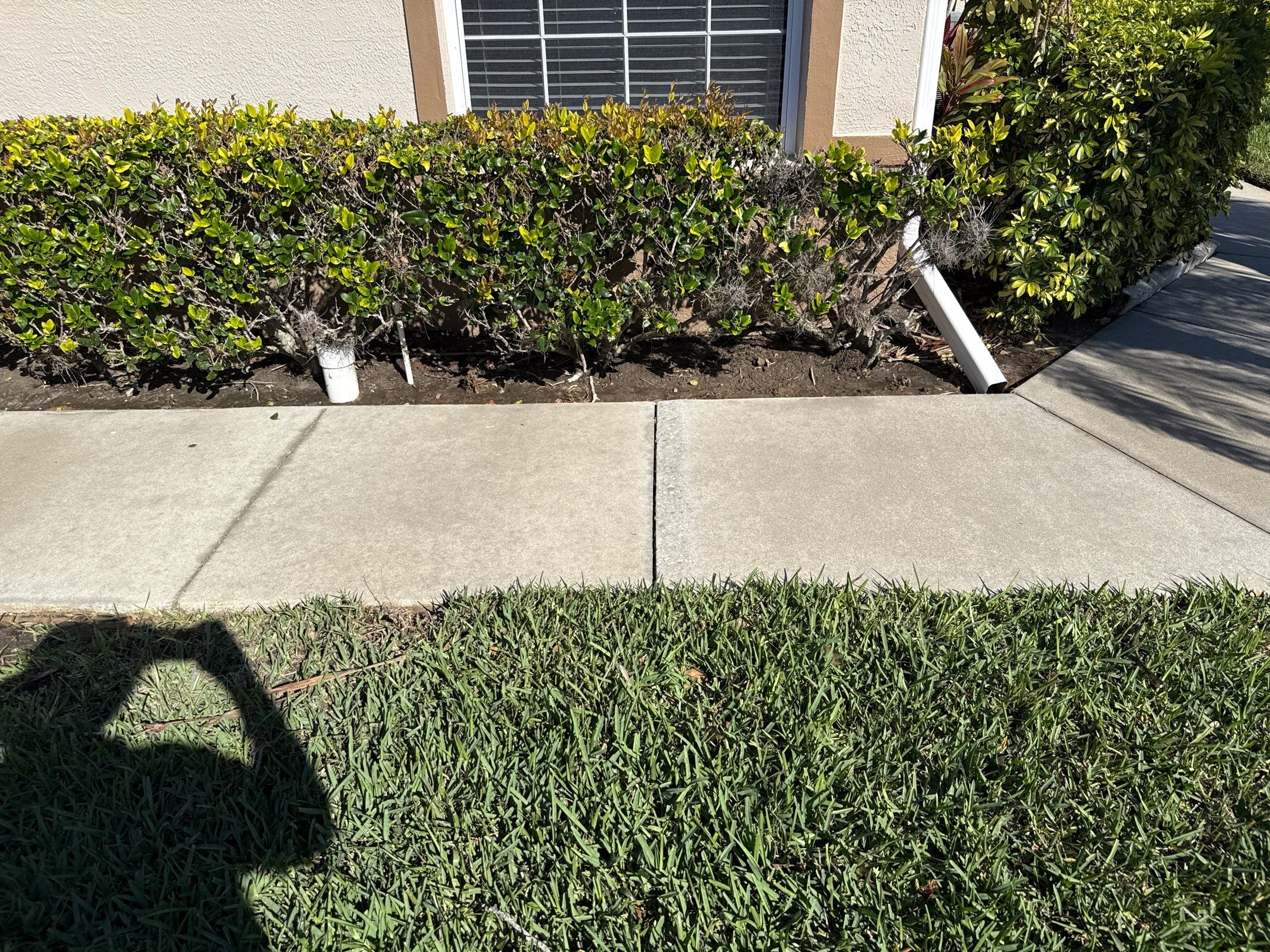 🚿 Another Stunning Driveway & Entryway Cleaning at Captain’s Court Condos – Terra Ceia, FL! by Sunshine AquaWash
