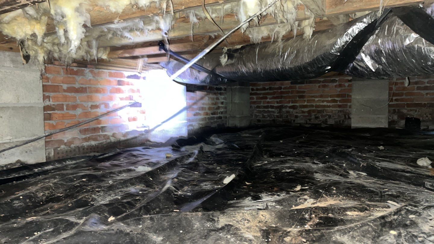 Impact Choice Encapsulation using YCS Pro Cleaner by Impact Crawlspace