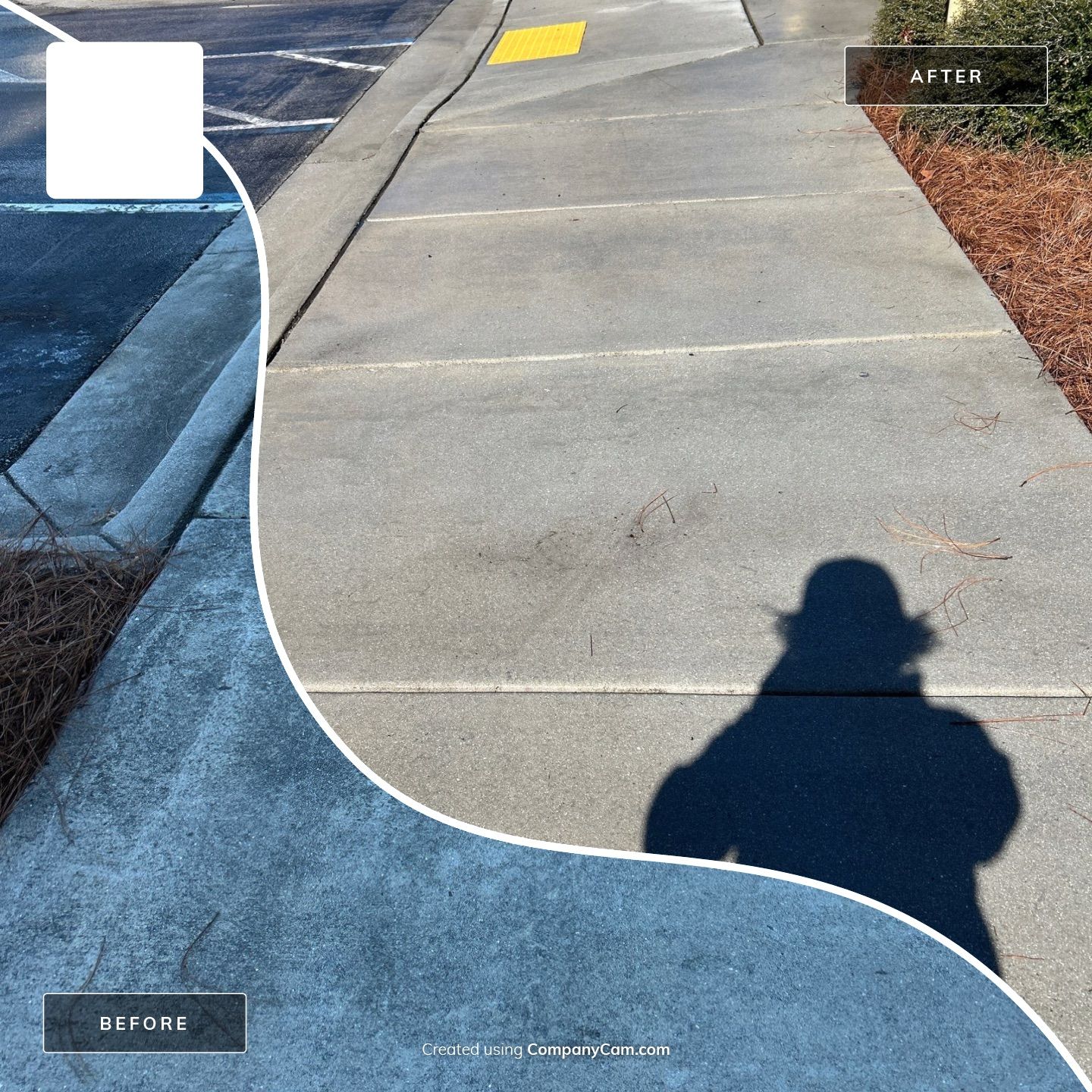 Concrete Cleaning in Hampstead by Shark Power Washing