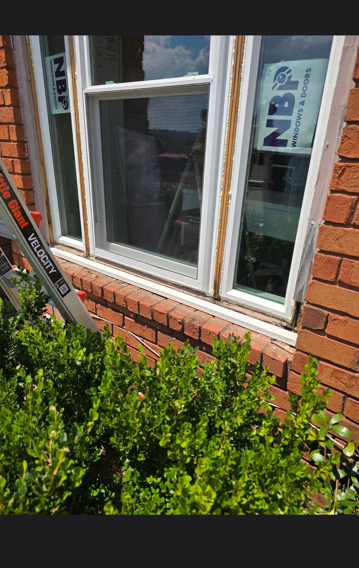 Williams Project in Birmingham by The Window Source