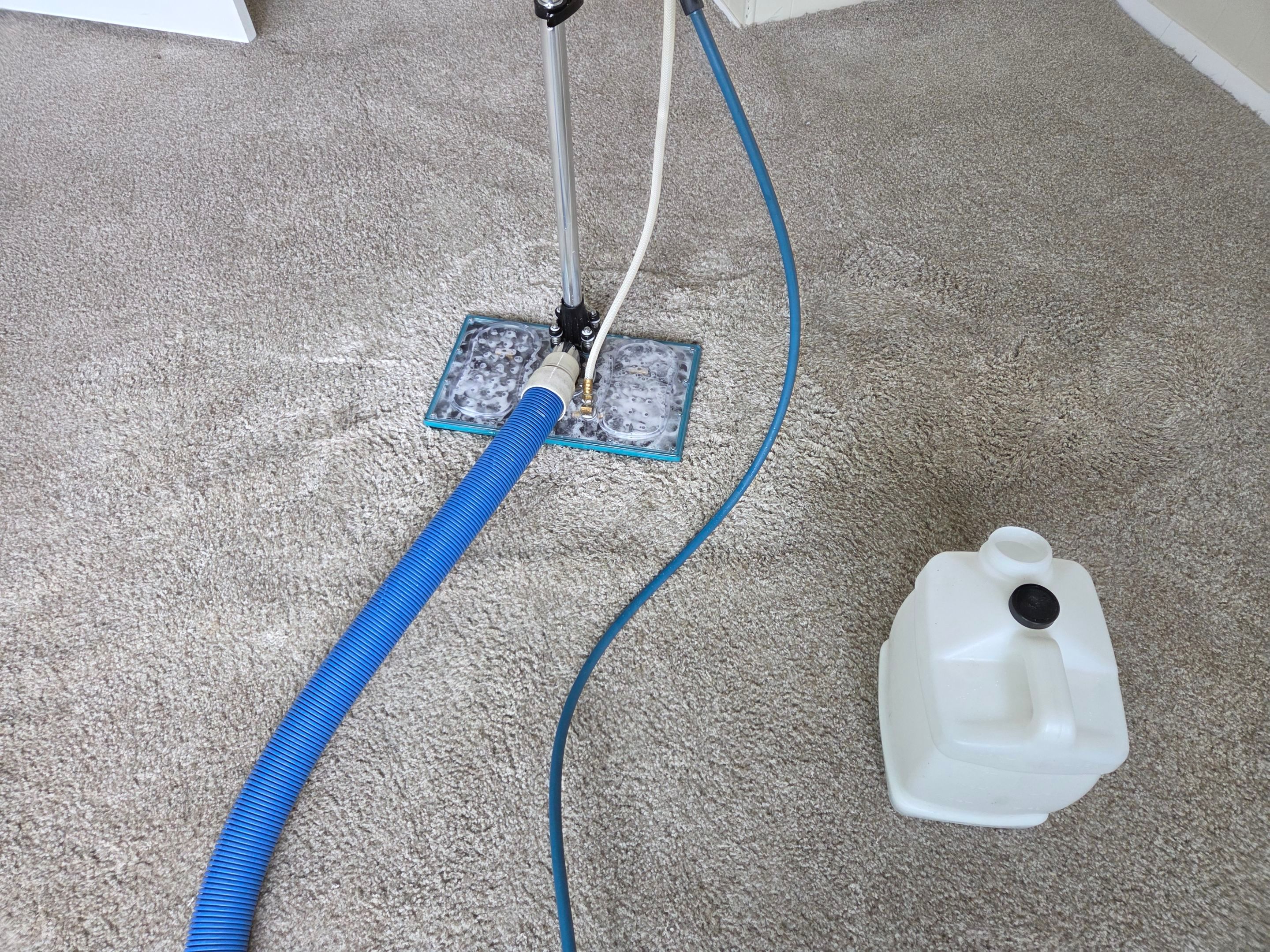 Pet Urine Pad Removal, Extraction and Cleaning by Ardent Carpet Restore LLC