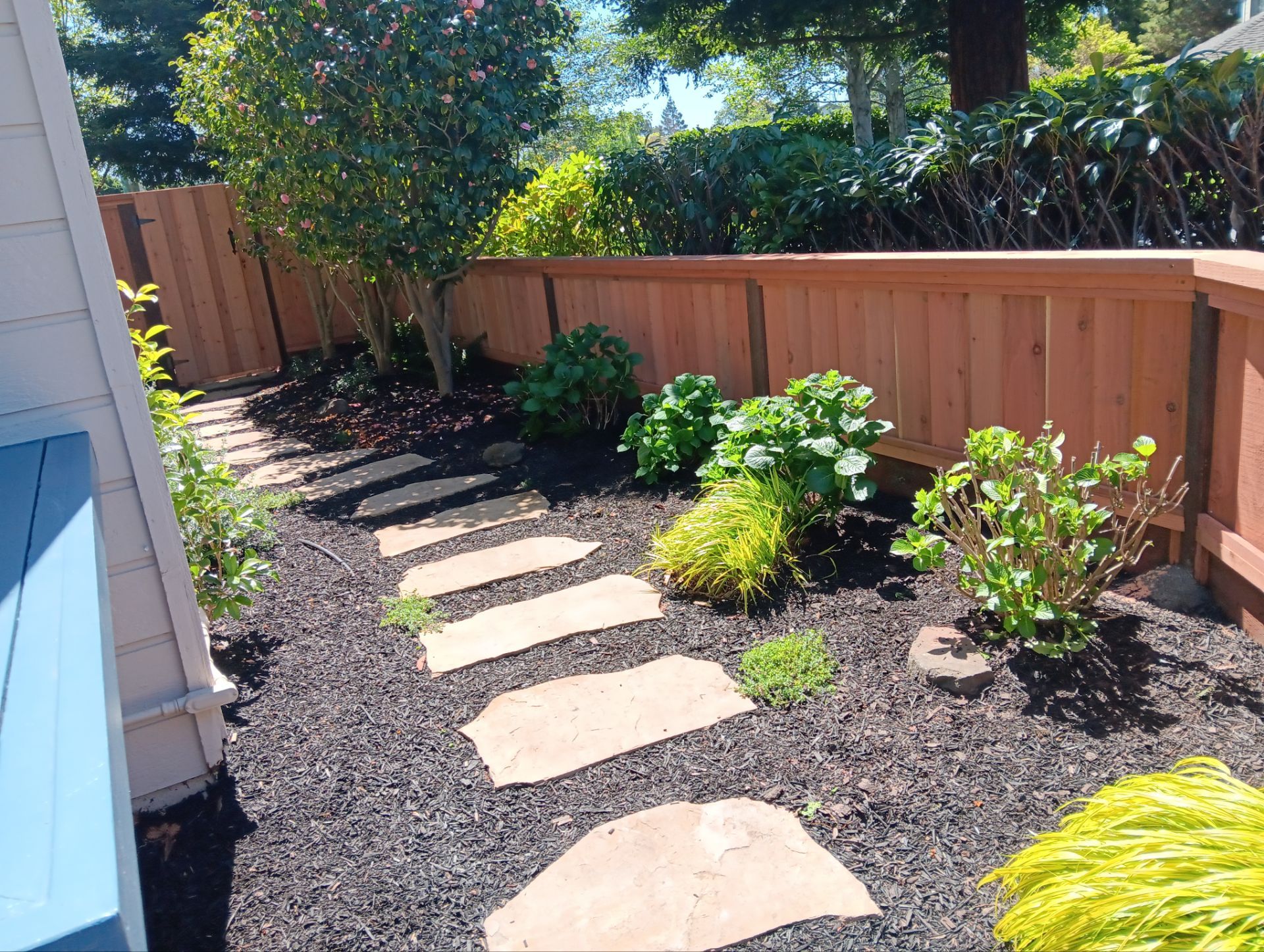 Lap/Louvered Fence with 2x6 Cap by Fremont Fence Inc