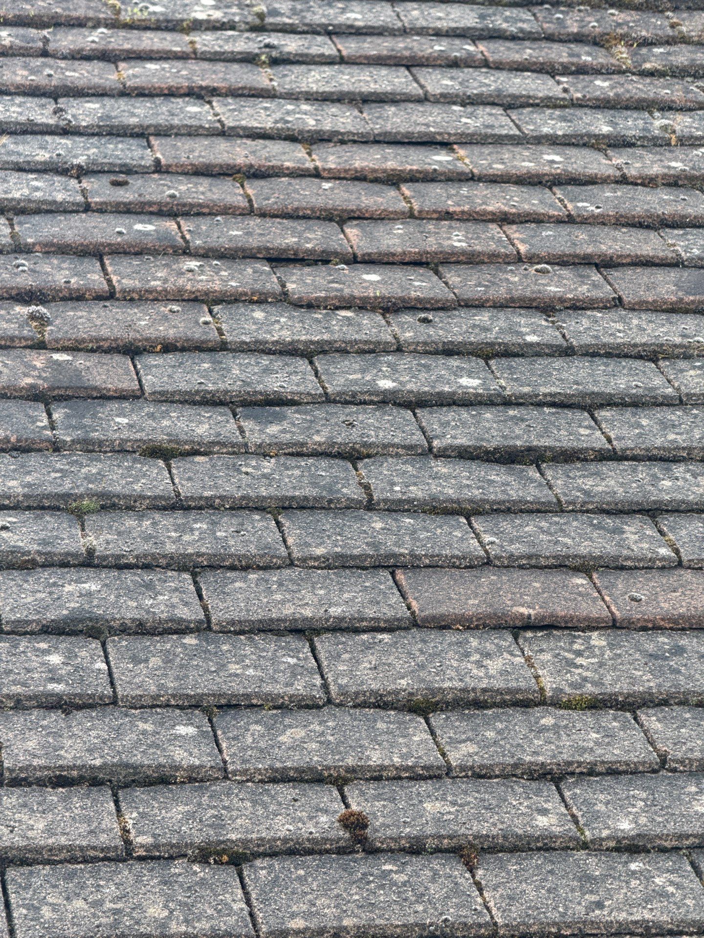 Exterior Clean - Roof - Patio - Driveway using honda 21 ltr/min by Ges Exterior Cleaning ltd