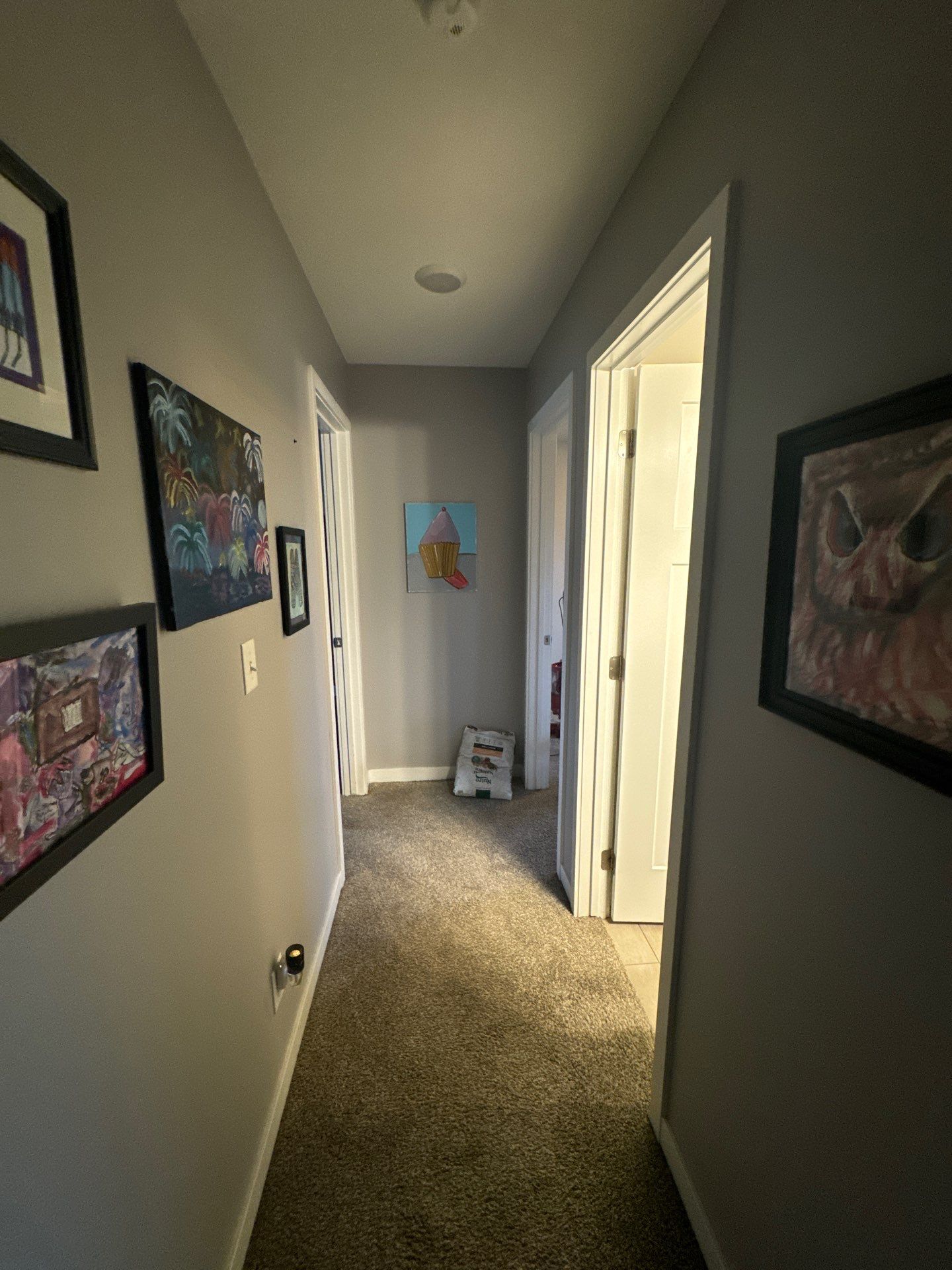 Project in Ankeny by Midwest Paint LLC