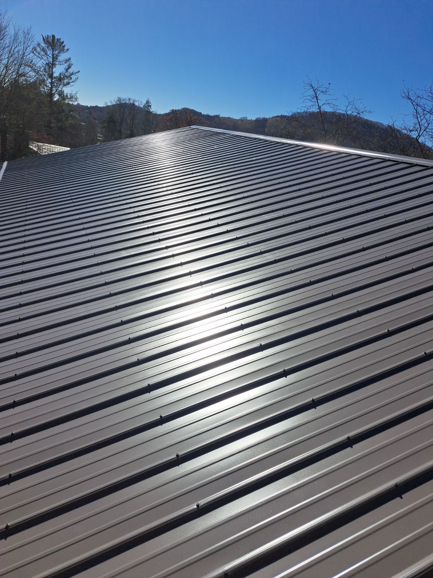 Greene Residence by Omnia Roofing