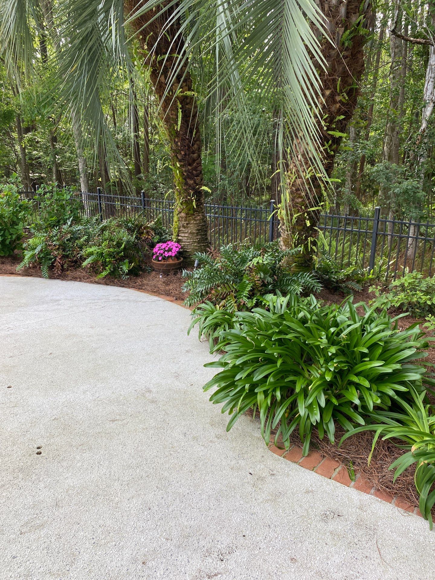 Deerwood Resident | Pine Straw Installation by ProGreen Services