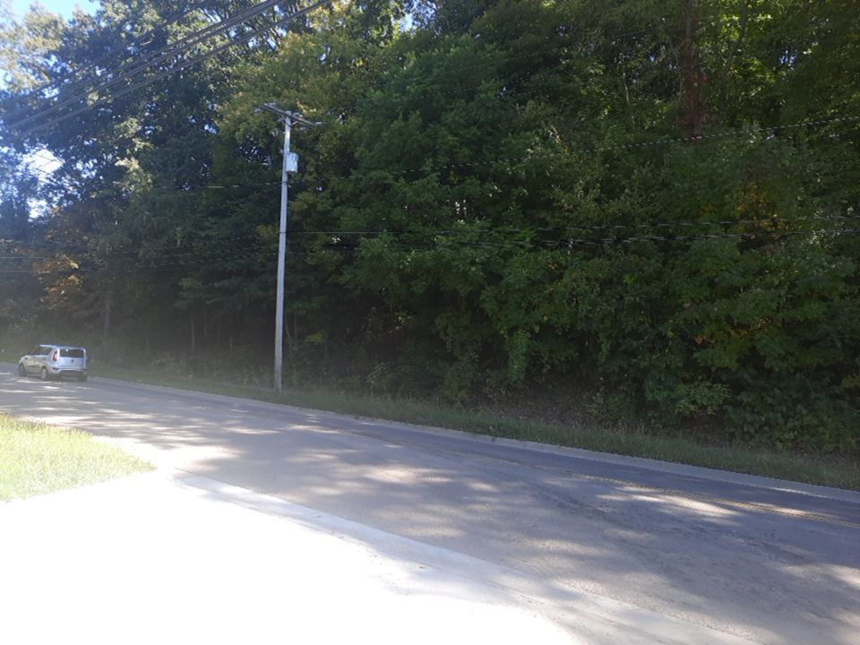 Tree Removal using Tree Removal by Mike Jones & Sons Tree Service LLC 