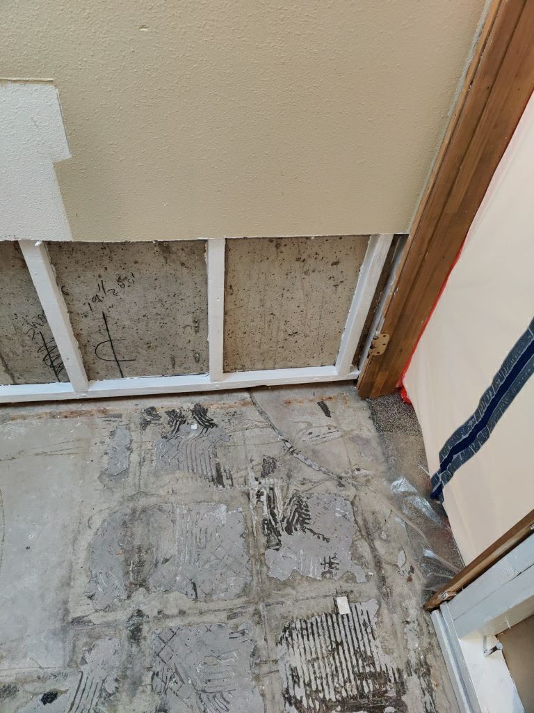 Mold Remediation by Accountable Home Services