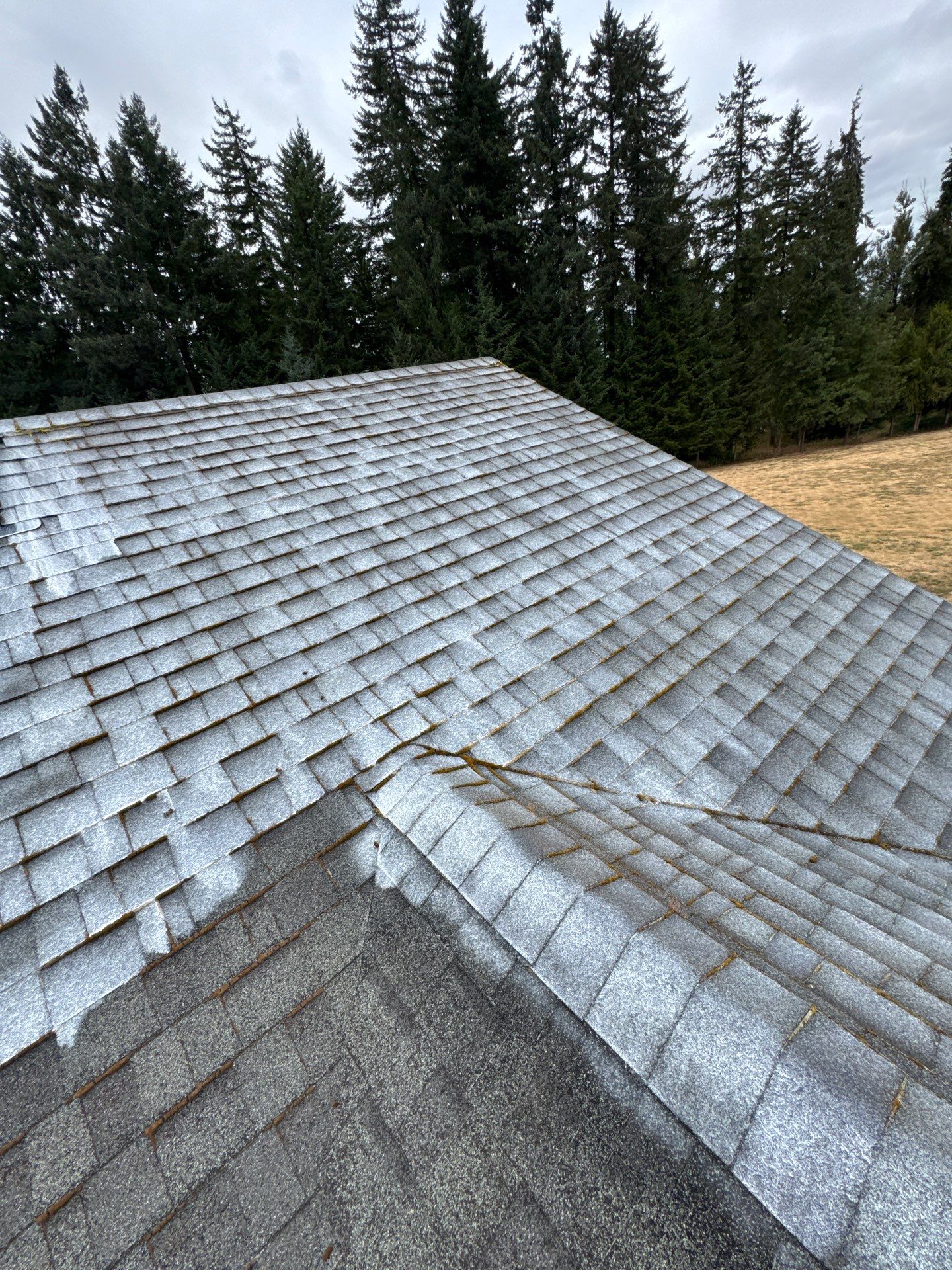 Project by Roof Maxx of Grants Pass by Roof Maxx of Grants Pass