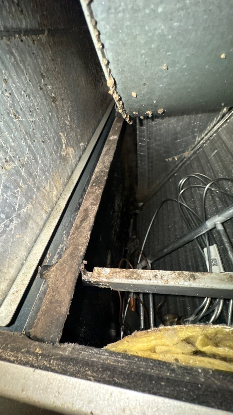 Extremely Dirty Air Duct Cleaning in Fruitland Park by Hygienic Air, Inc