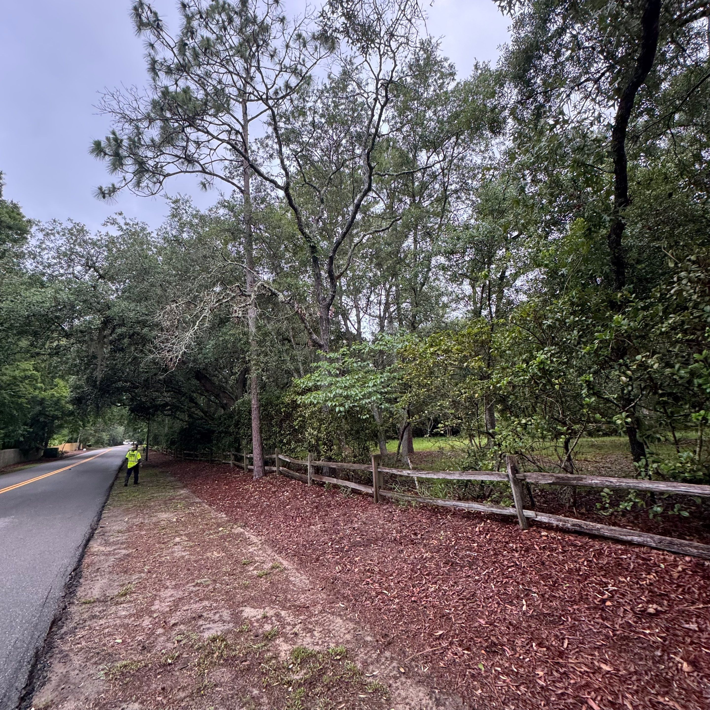 Deerwood Resident | Tree Removal & Trimming by ProGreen Services