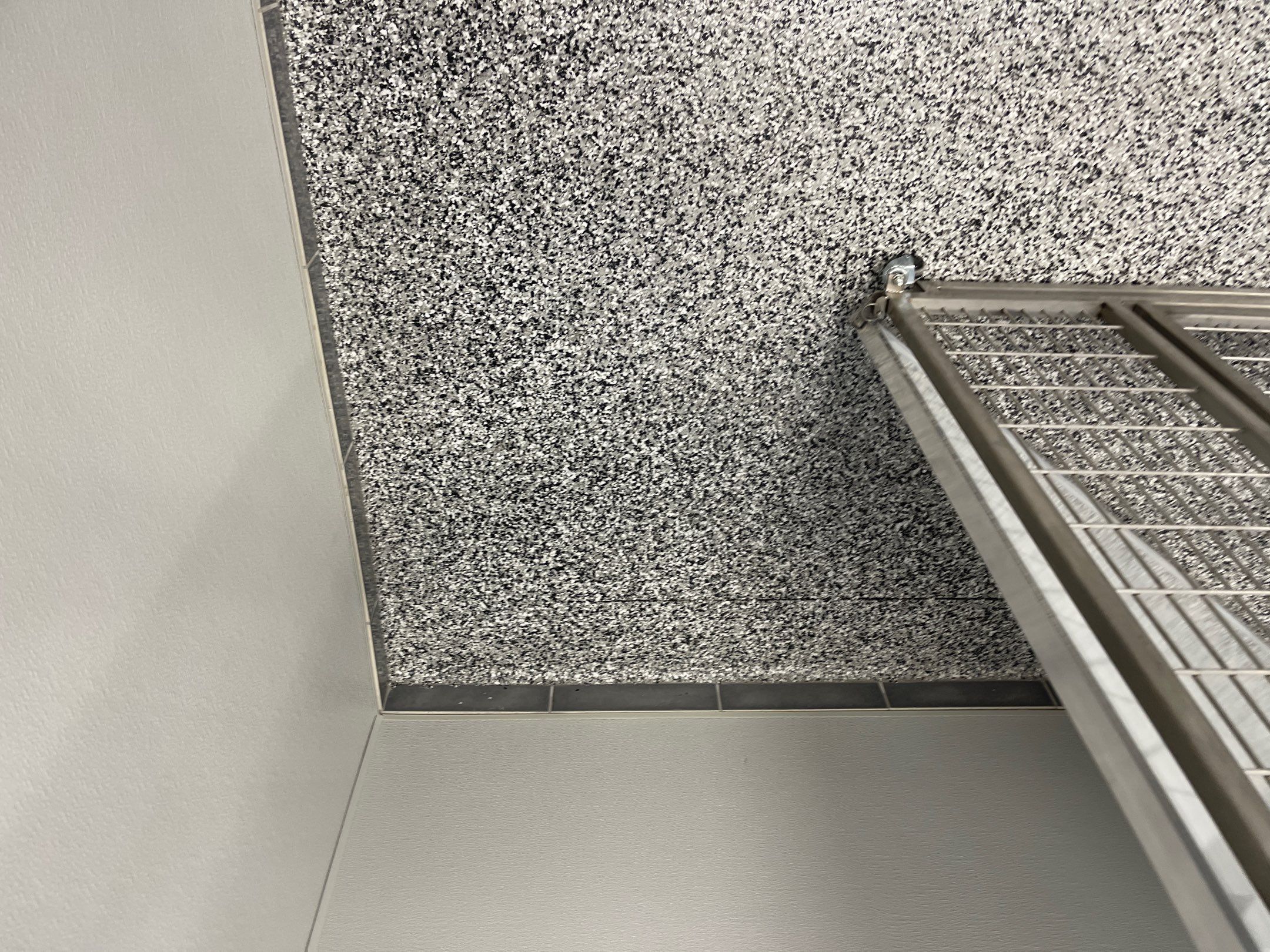 K9 Resorts by Innovative Concrete Coatings 