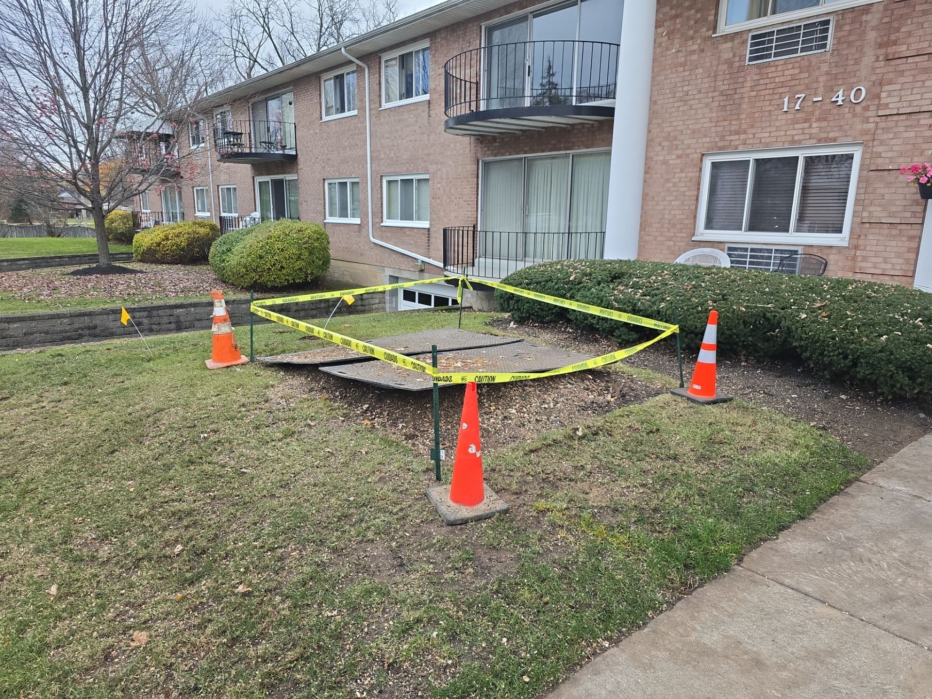Emergency Job: Removal of Branch by Treeman Tom LLC