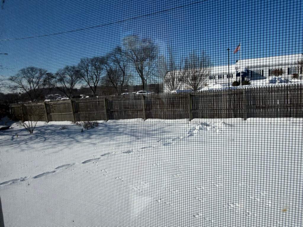 Fence replacement using White Vinyl Privacy with matching Gates.  by DiGiorgi Roofing and Siding Inc