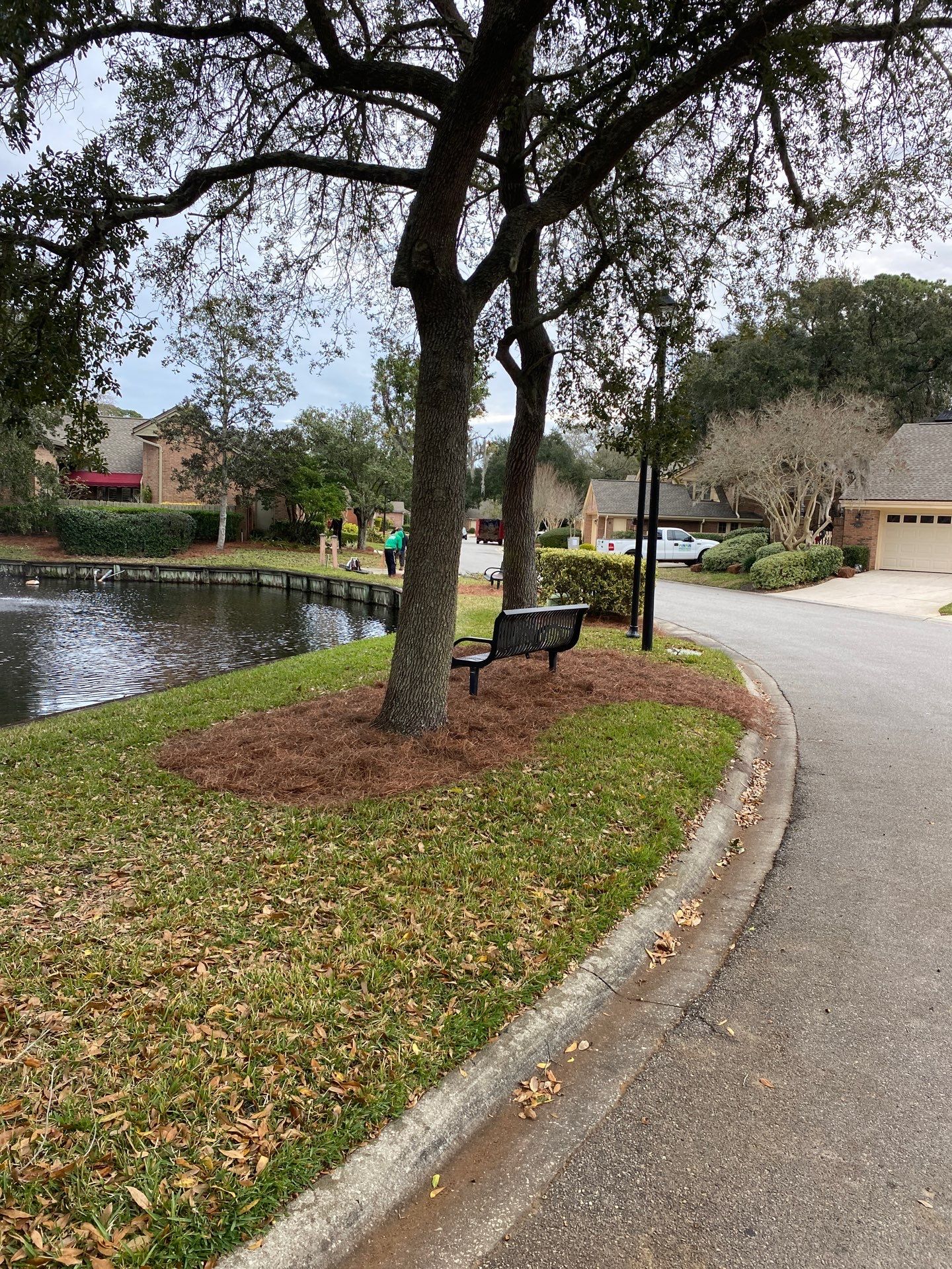 Deerwood Pointe | Tree Removal & Pine Straw Installation by ProGreen Services