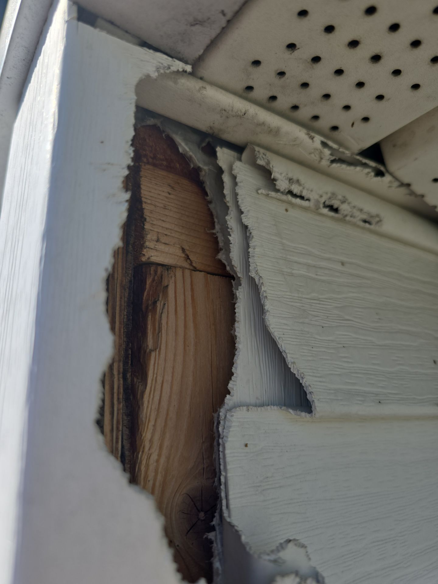 Siding & Soffit Repair — Waltham, MA by Mighty Dog Roofing of Greater Middlesex County