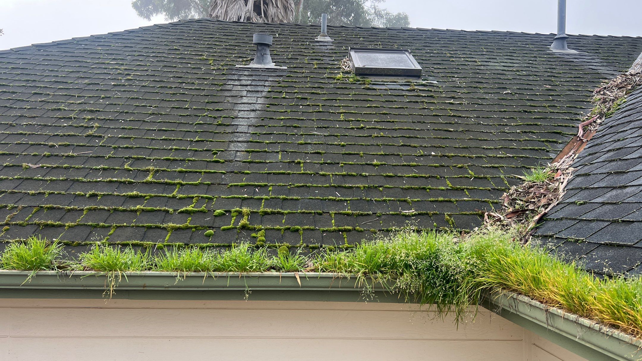 Roof Rejuvenation using Roof Maxx Treatment by Roof Maxx of Folsom