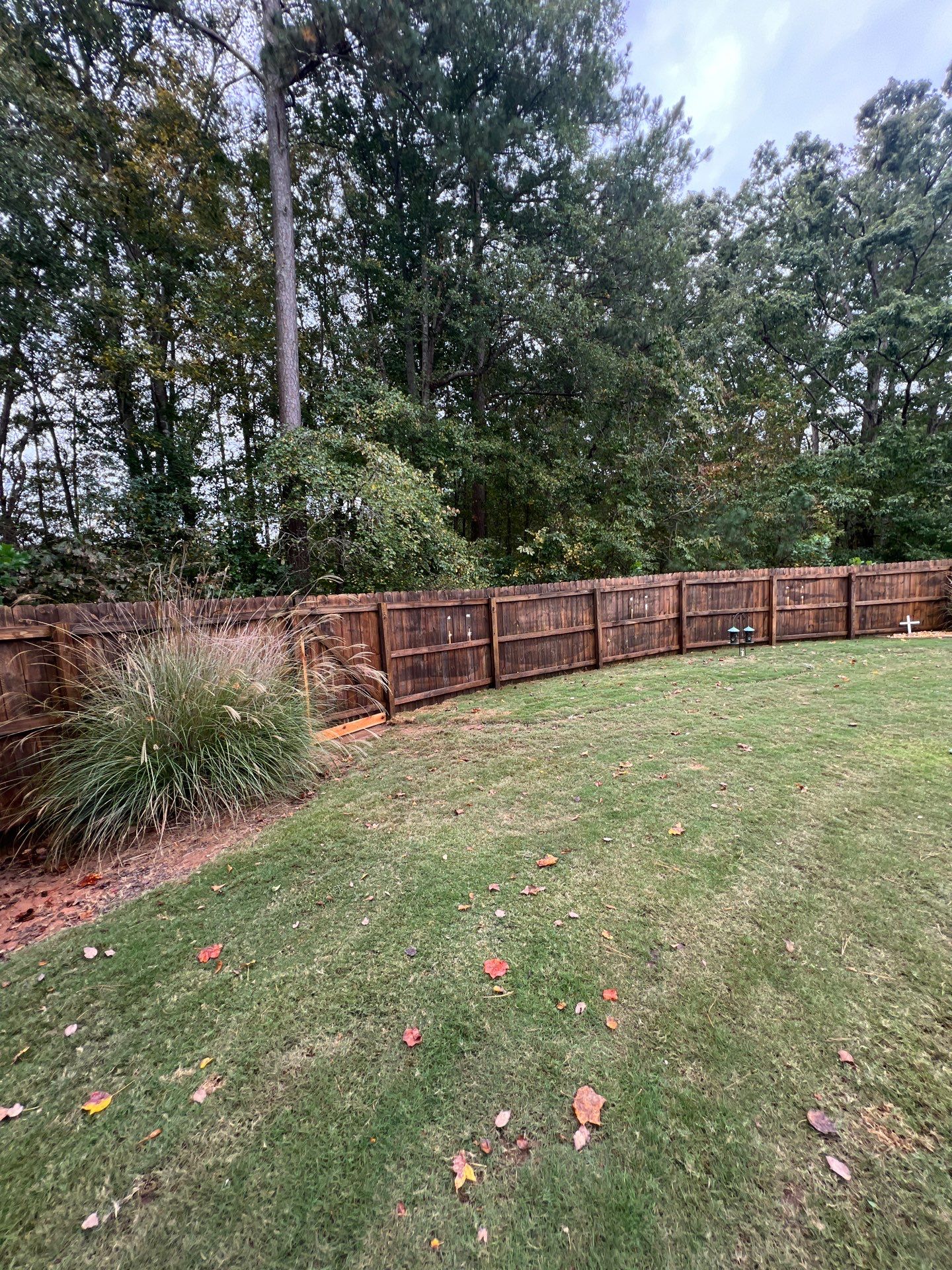 Fence Restoration using Chocolate by SSE by Titans of Timber Fence & Stain